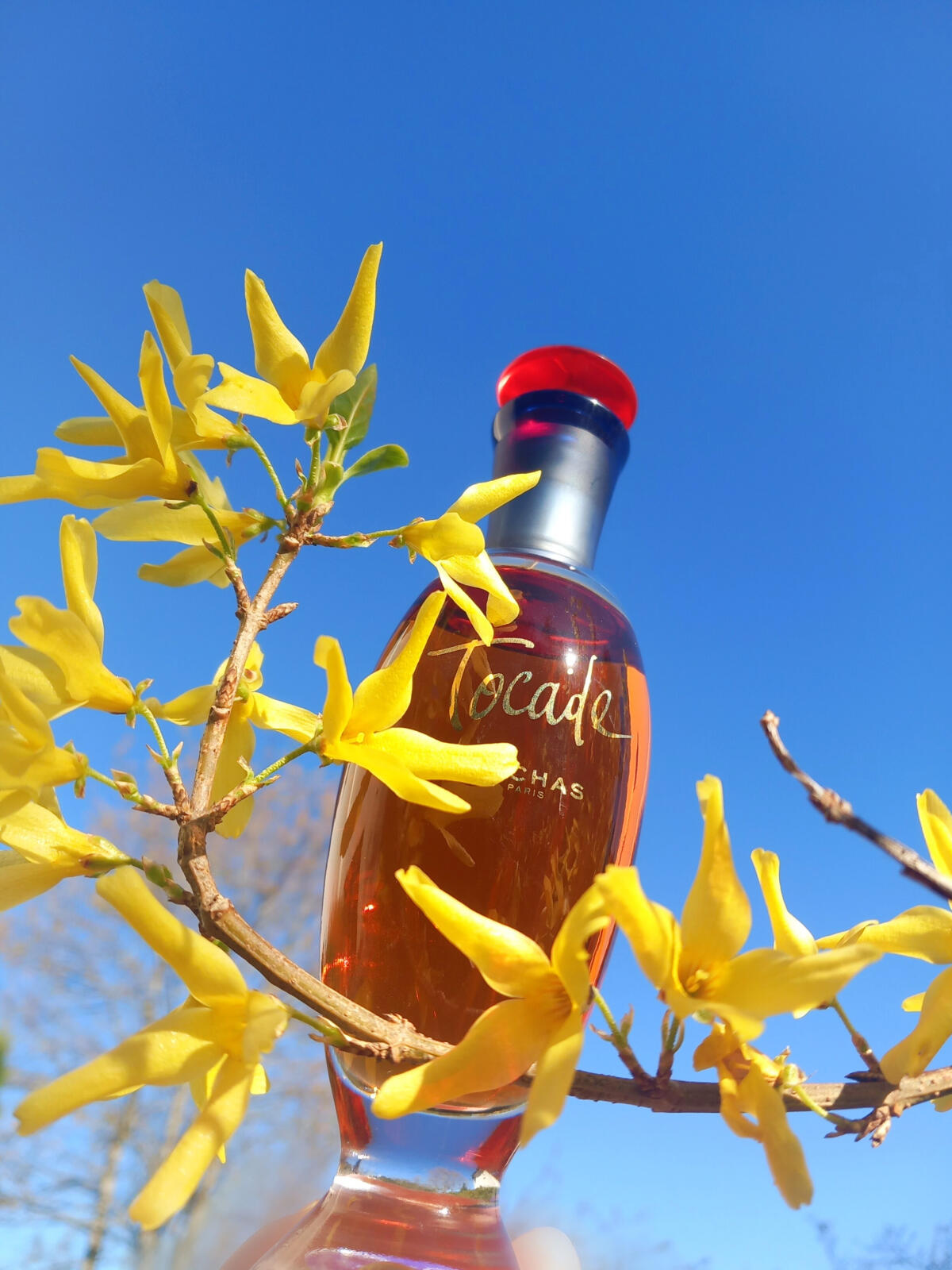 عطر ادکلن توکید ۲۰۱۸ روچاس - Tocade 2018 Rochas - بررسی، قیمت و خرید