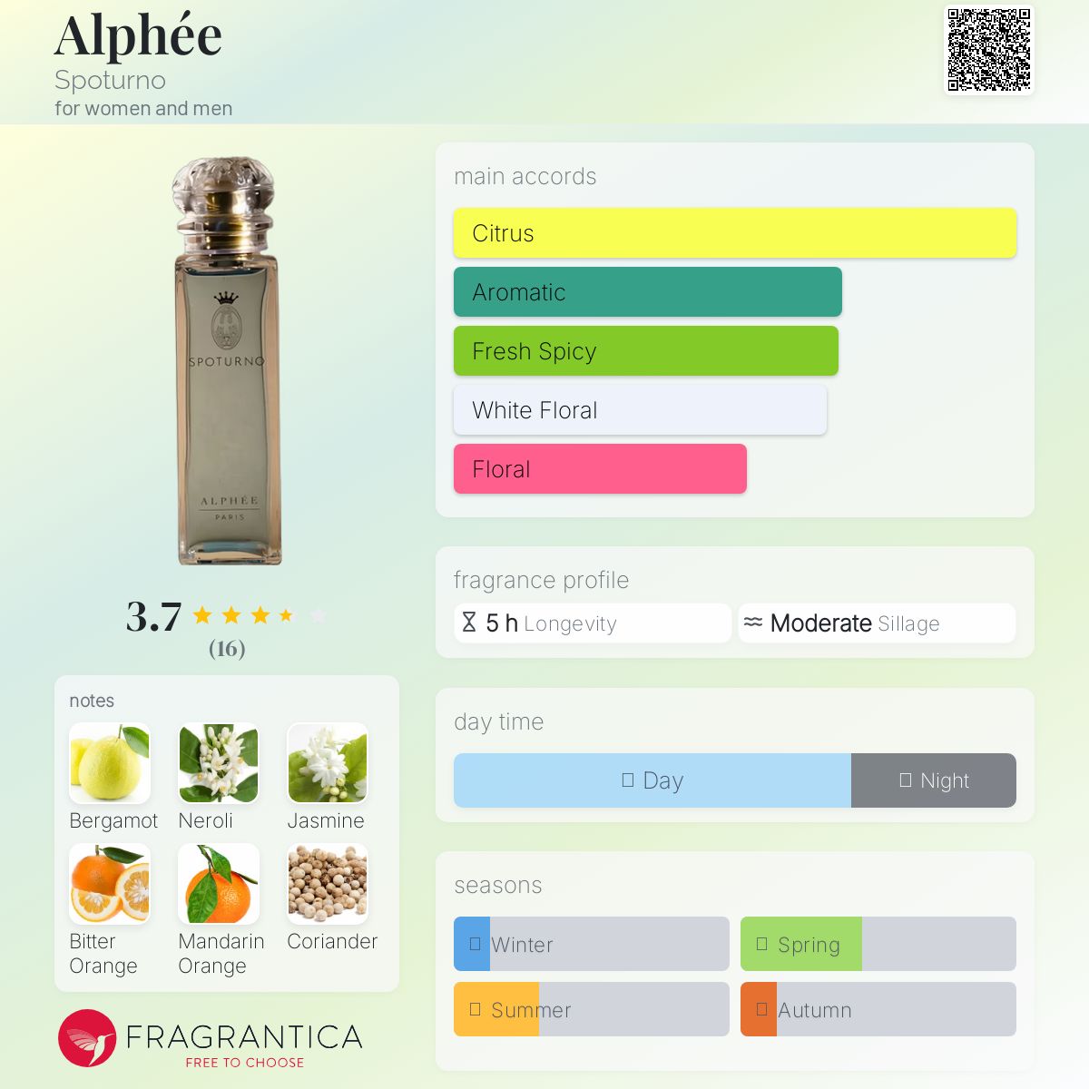 عطر ادکلن آلفه اسپوتورنو - Alphée Spoturno - بررسی، قیمت و خرید