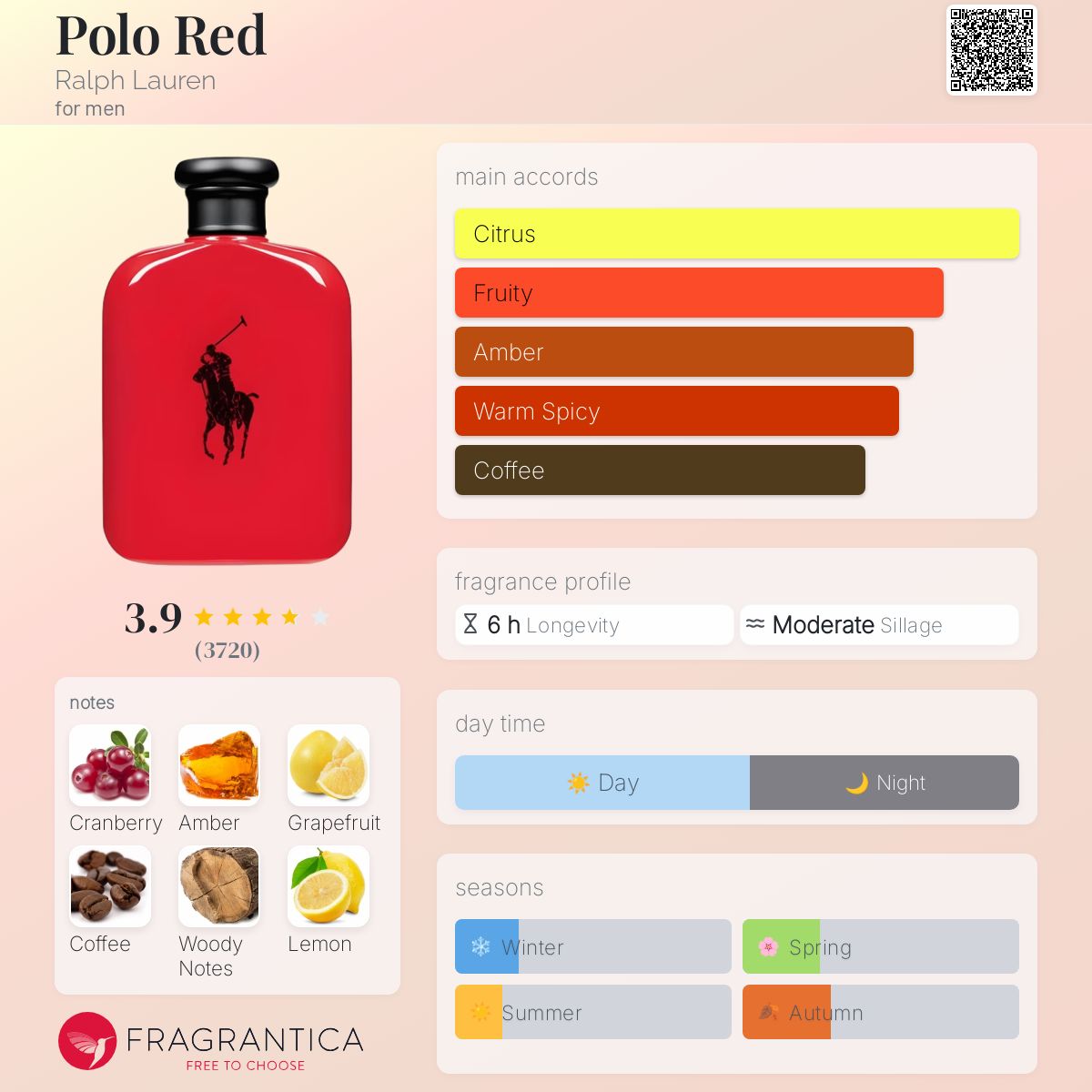 عطر ادکلن پولو رد رالف لورن - Polo Red Ralph Lauren - بررسی، قیمت و خرید
