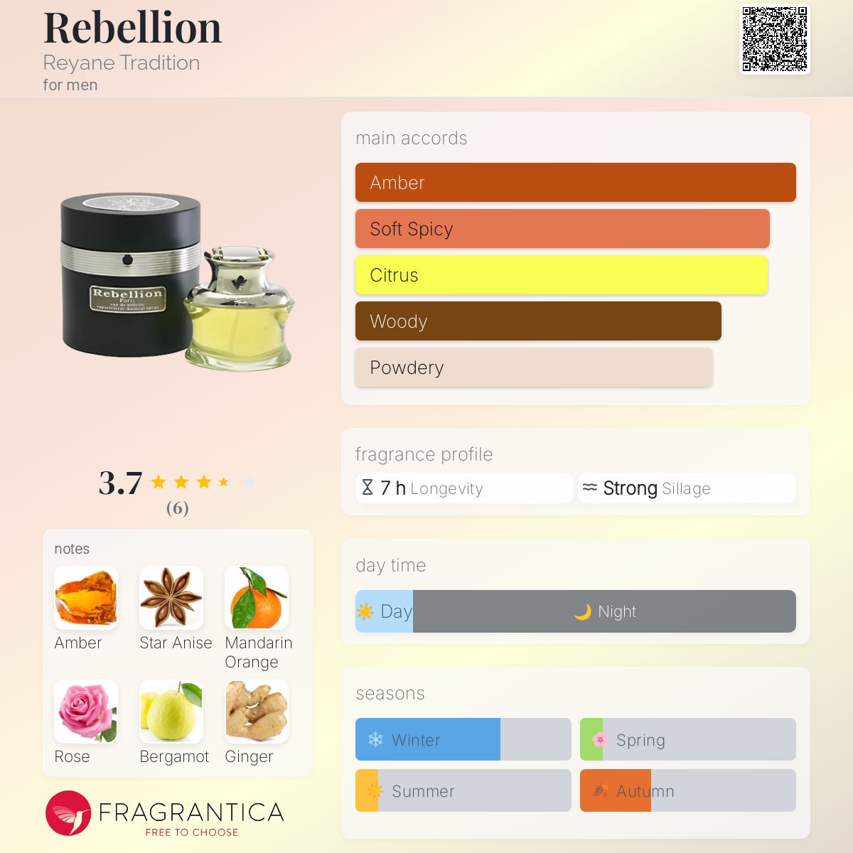 عطر ادکلن ریبلیون رین تردیشن - Rebellion Reyane Tradition - بررسی، قیمت و خرید