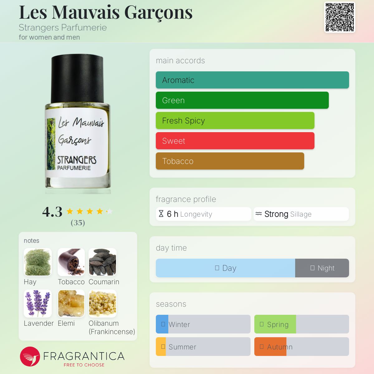 عطر ادکلن له مووه گارسون استرنجرز پرفیومری - Les Mauvais Garçons Strangers Parfumerie - بررسی، قیمت و خرید