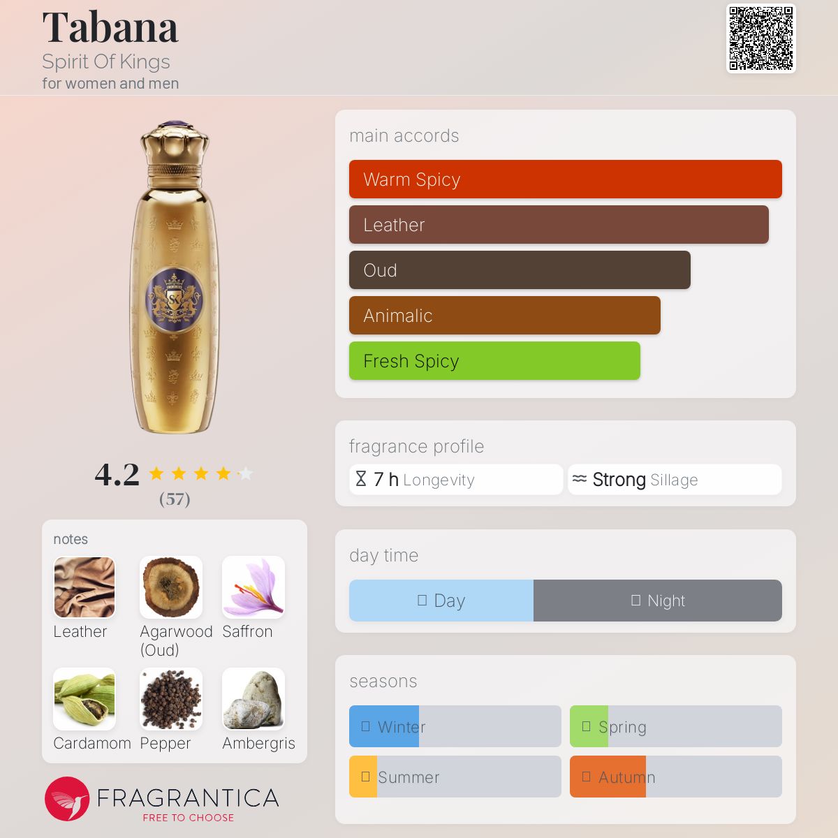 عطر ادکلن تابانا اسپریت آو کینگز - Tabana Spirit Of Kings - بررسی، قیمت و خرید