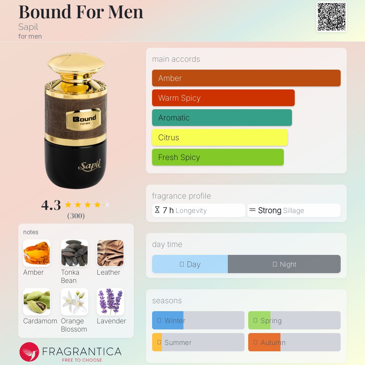 عطر ادکلن باند فور من ساپیل - Bound For Men Sapil - بررسی، قیمت و خرید