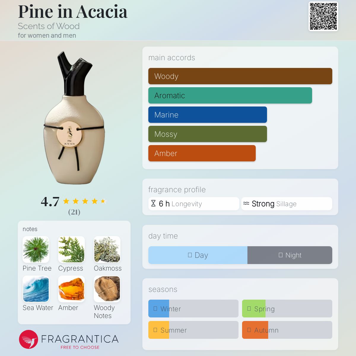 عطر ادکلن پاین این آکیشیا سنس آف وود - Pine in Acacia Scents of Wood - بررسی، قیمت و خرید