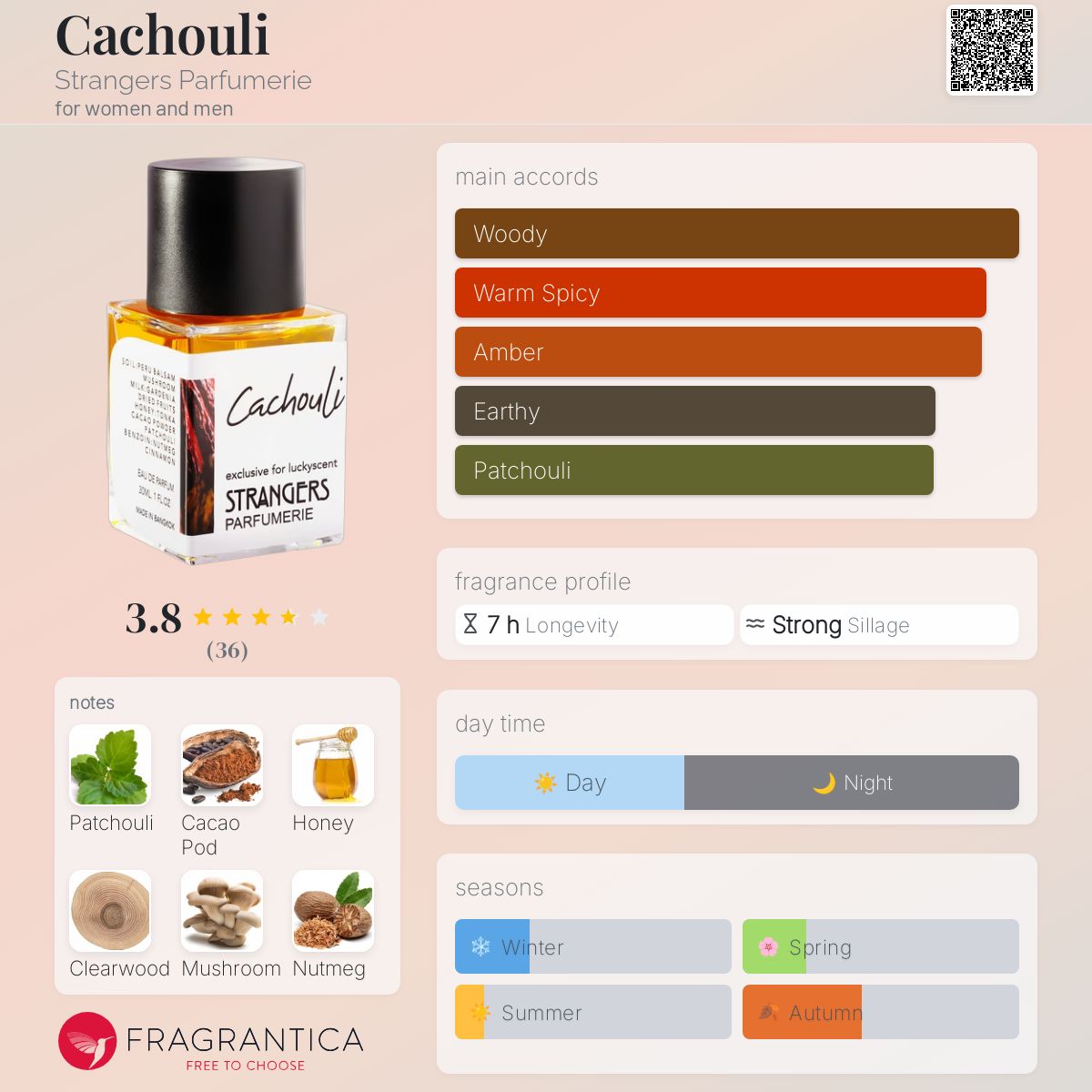 عطر ادکلن کچولی استرنجرز پرفیومری - Cachouli Strangers Parfumerie - بررسی، قیمت و خرید