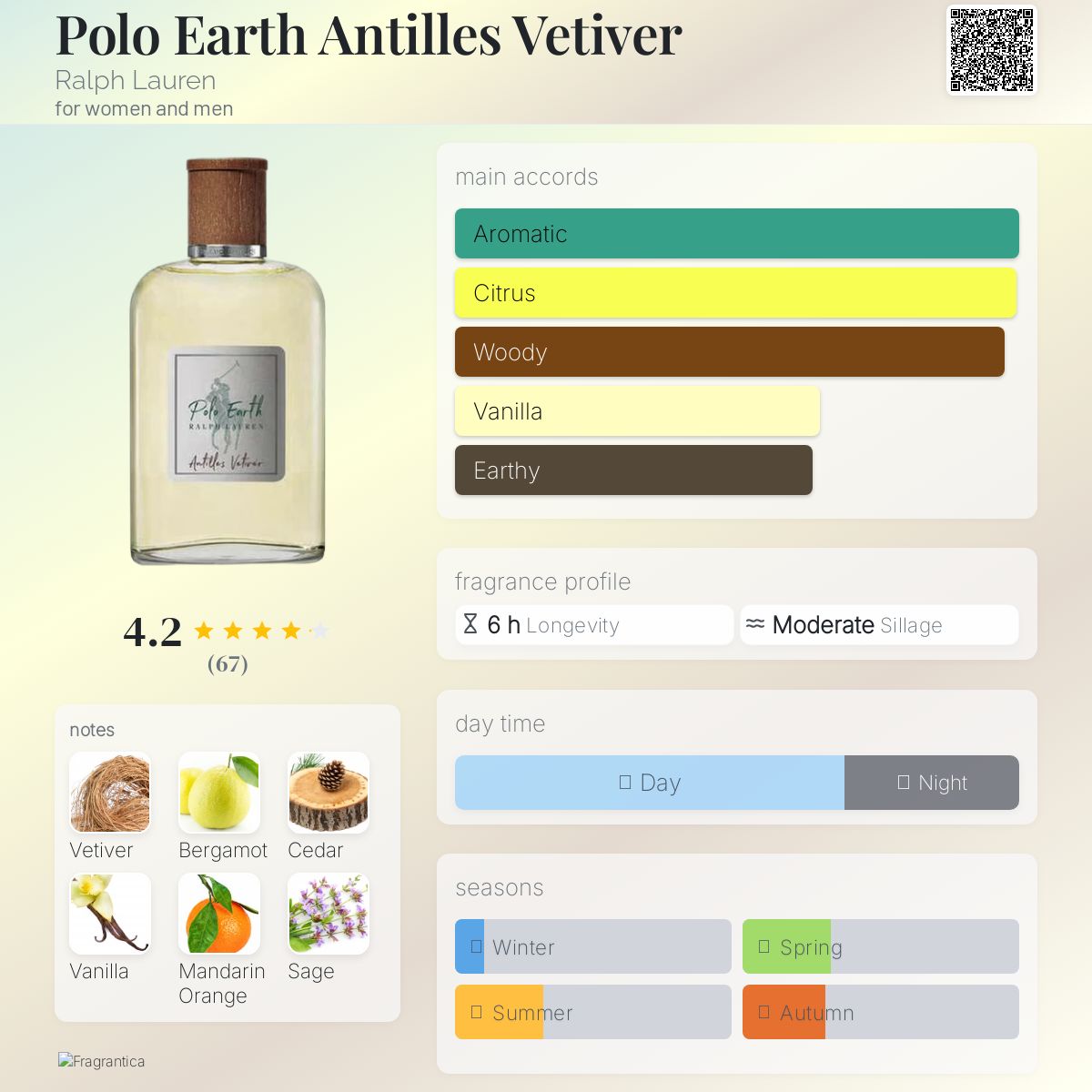 عطر ادکلن پولو ارث آنتیلس وتیور رالف لورن - Polo Earth Antilles Vetiver Ralph Lauren - بررسی، قیمت و خرید