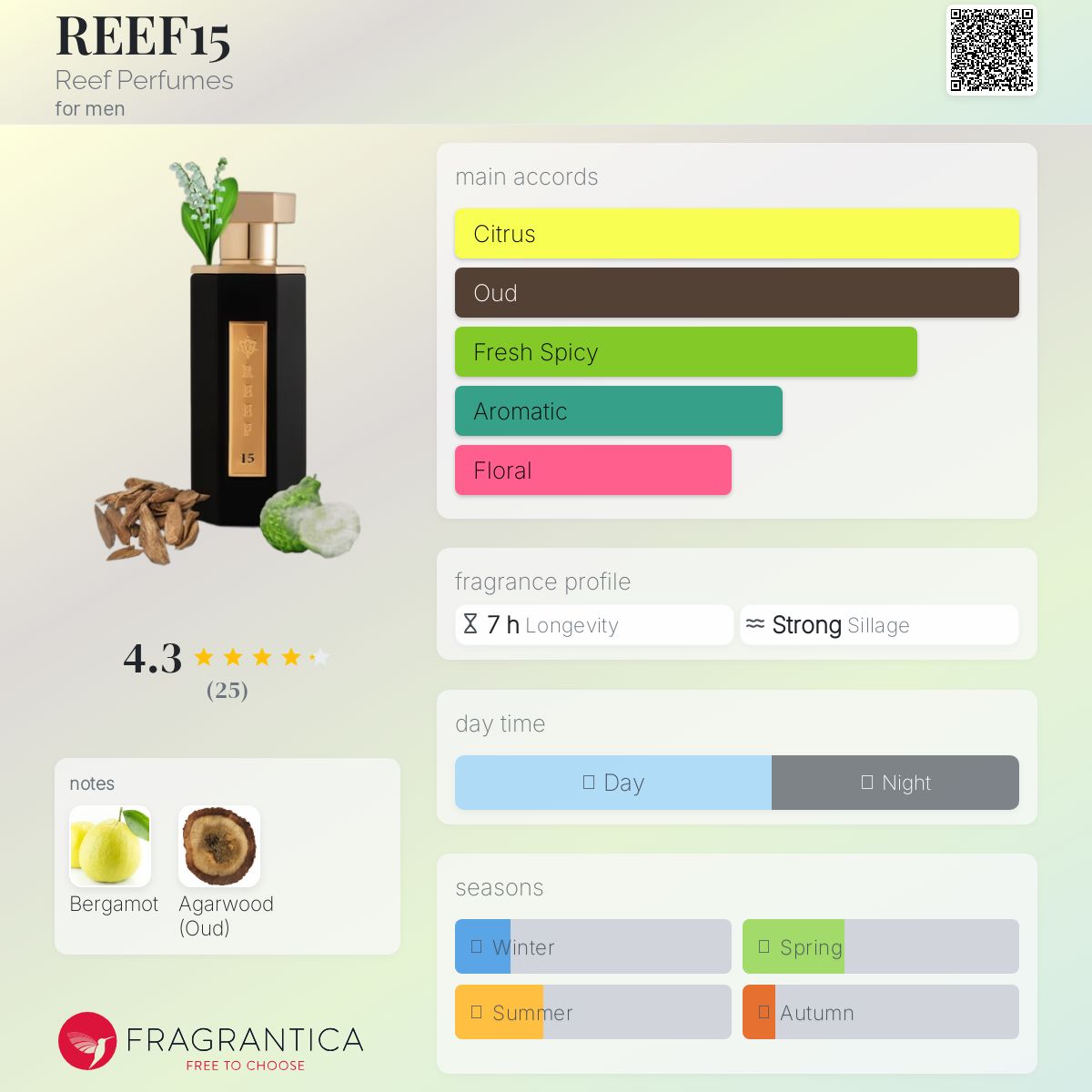 عطر ادکلن ریف پونزده ریو پرفیومز - REEF15 Reef Perfumes - بررسی، قیمت و خرید