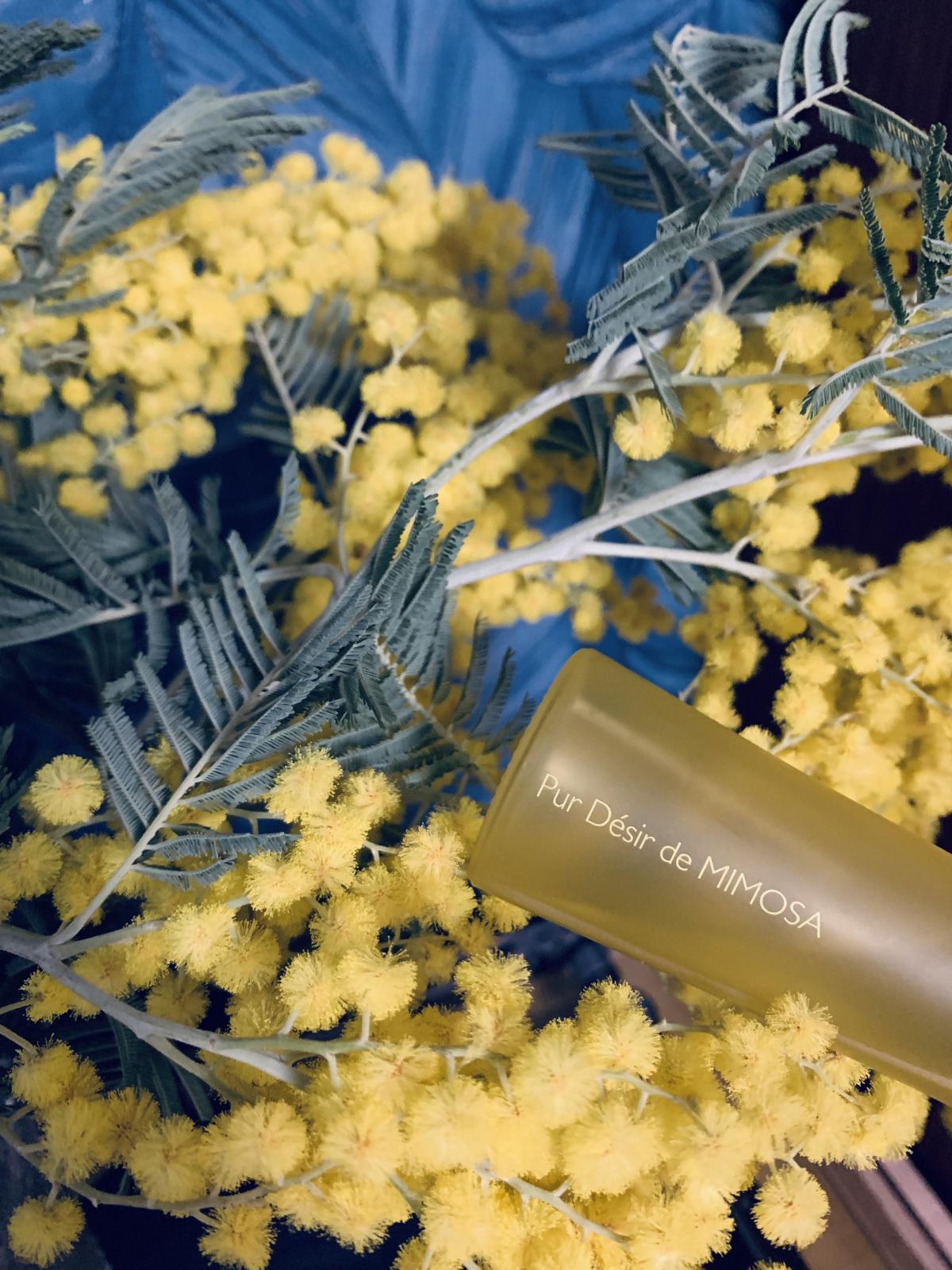 عطر ادکلن پور دزیر دو میموسا ایوروشه - Pur Desir de Mimosa Yves Rocher - بررسی، قیمت و خرید