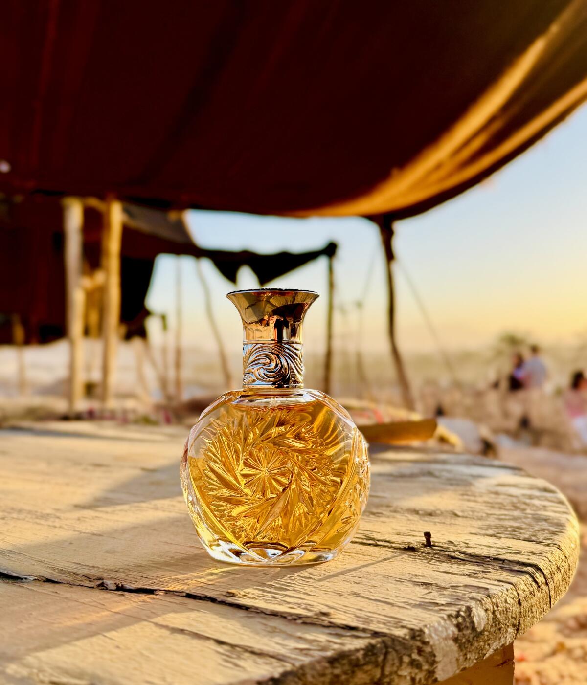 عطر ادکلن سافاری رالف لورن - Safari Ralph Lauren - بررسی، قیمت و خرید