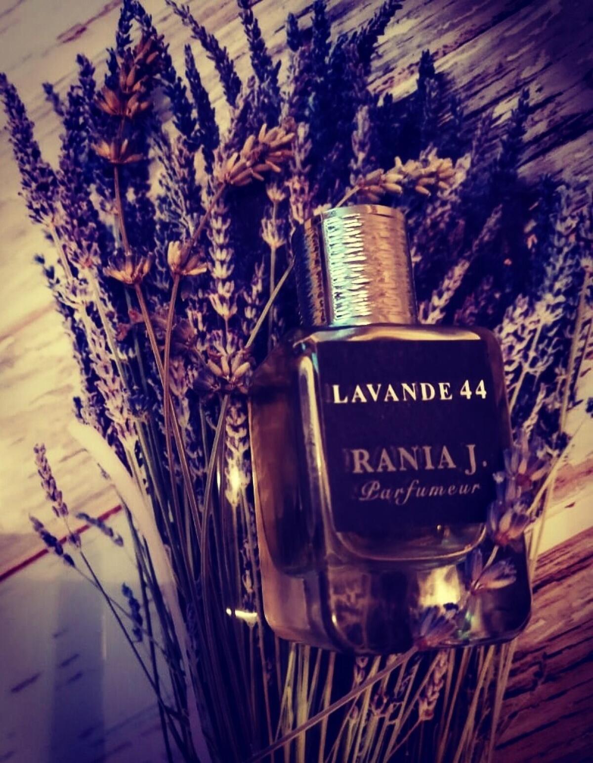 عطر ادکلن لاوند چهل و چهار رانیا جی - Lavande 44 Rania J - بررسی، قیمت و خرید