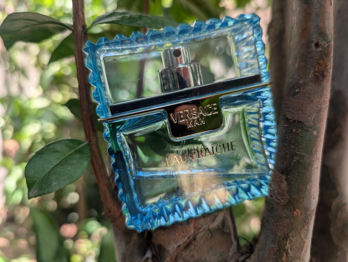 عطر ادکلن ورساچه من او فرش ورساچه - Versace Man Eau Fraiche Versace - بررسی، قیمت و خرید