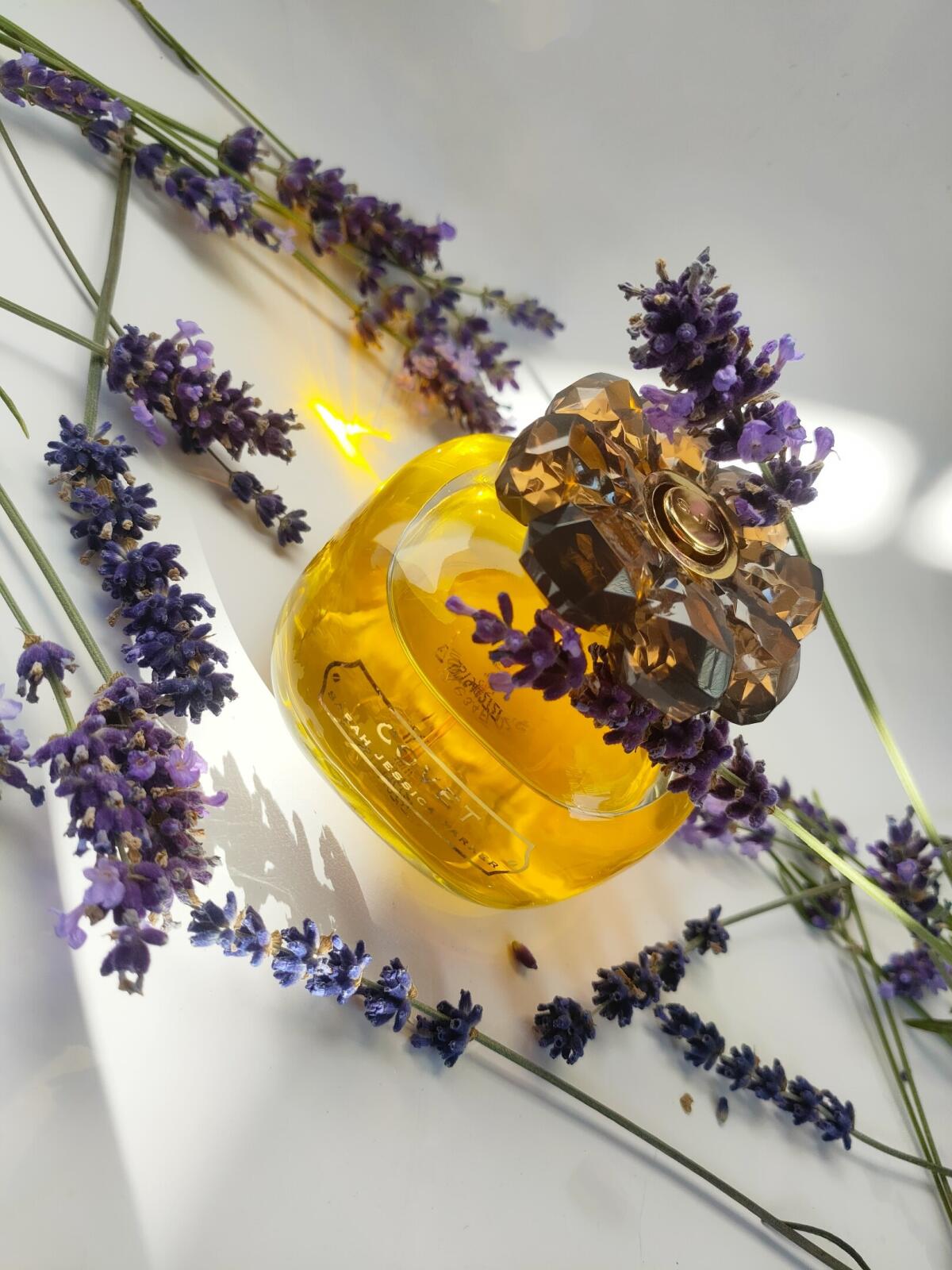 عطر ادکلن کاوِت سارا جسیکا پارکر - Covet Sarah Jessica Parker - بررسی، قیمت و خرید