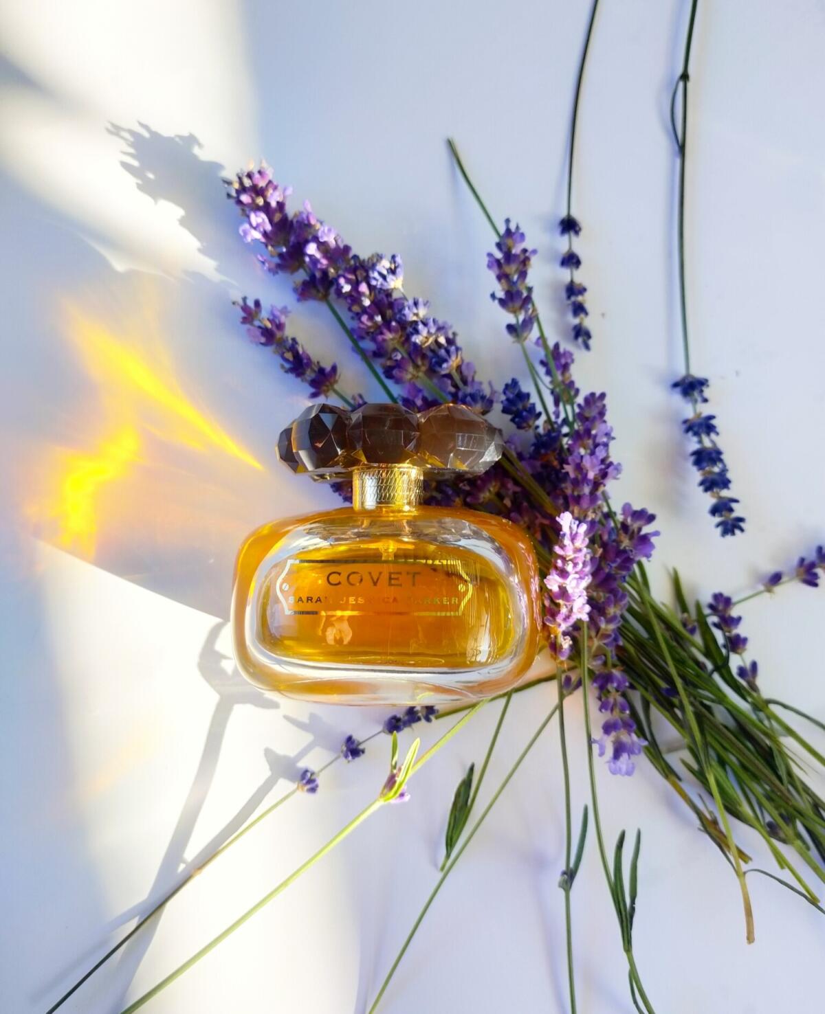 عطر ادکلن کاوِت سارا جسیکا پارکر - Covet Sarah Jessica Parker - بررسی، قیمت و خرید