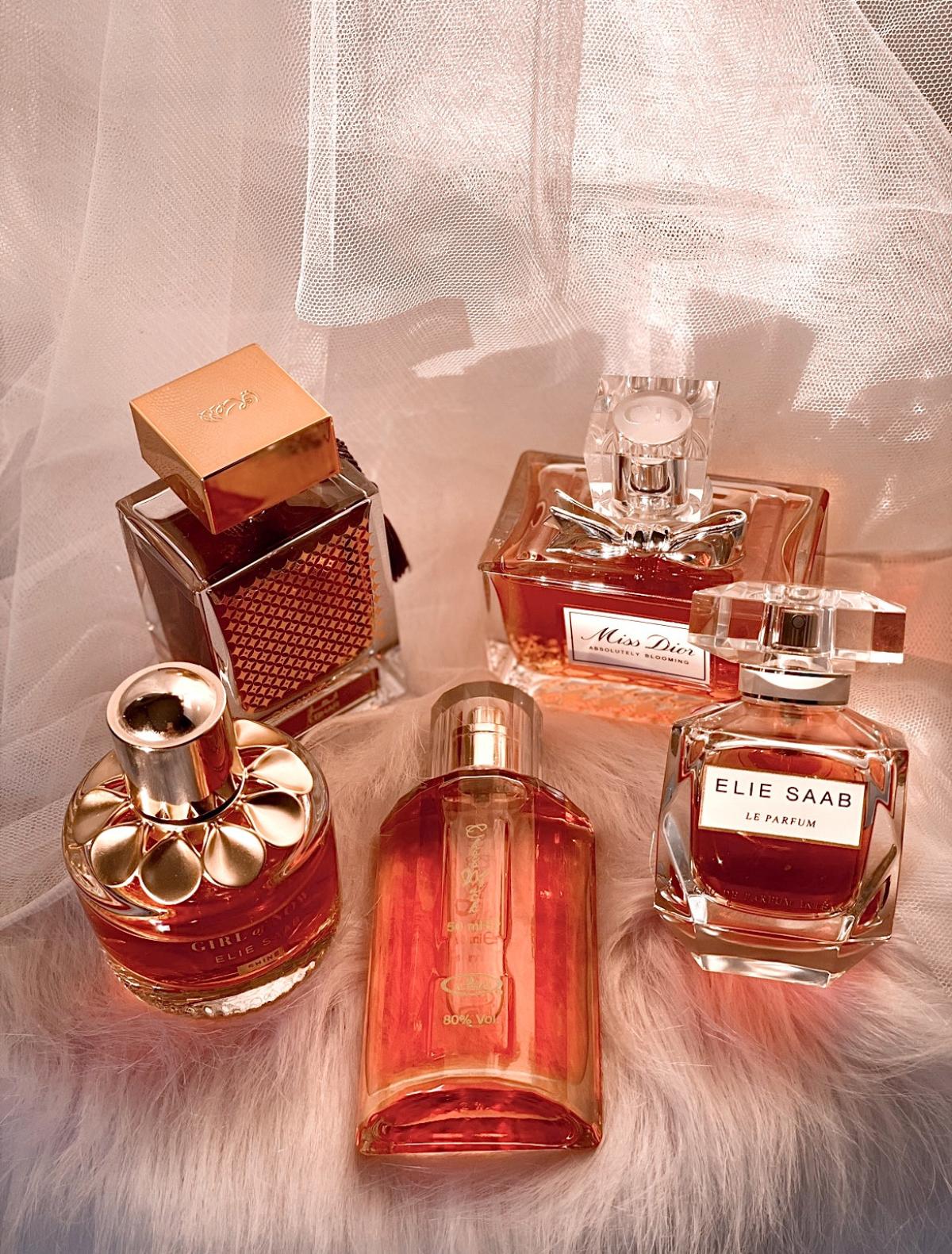 عطر ادکلن قَسَمَت اِبحار راساسی - Qasamat Ebhar Rasasi - بررسی، قیمت و خرید