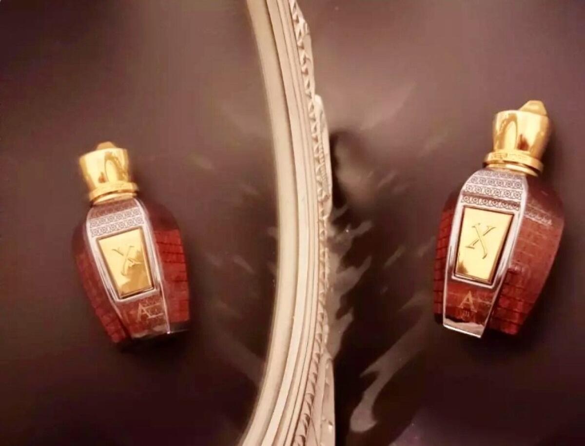 عطر ادکلن الکساندریا تری زرژاف - Alexandria III Xerjoff - بررسی، قیمت و خرید