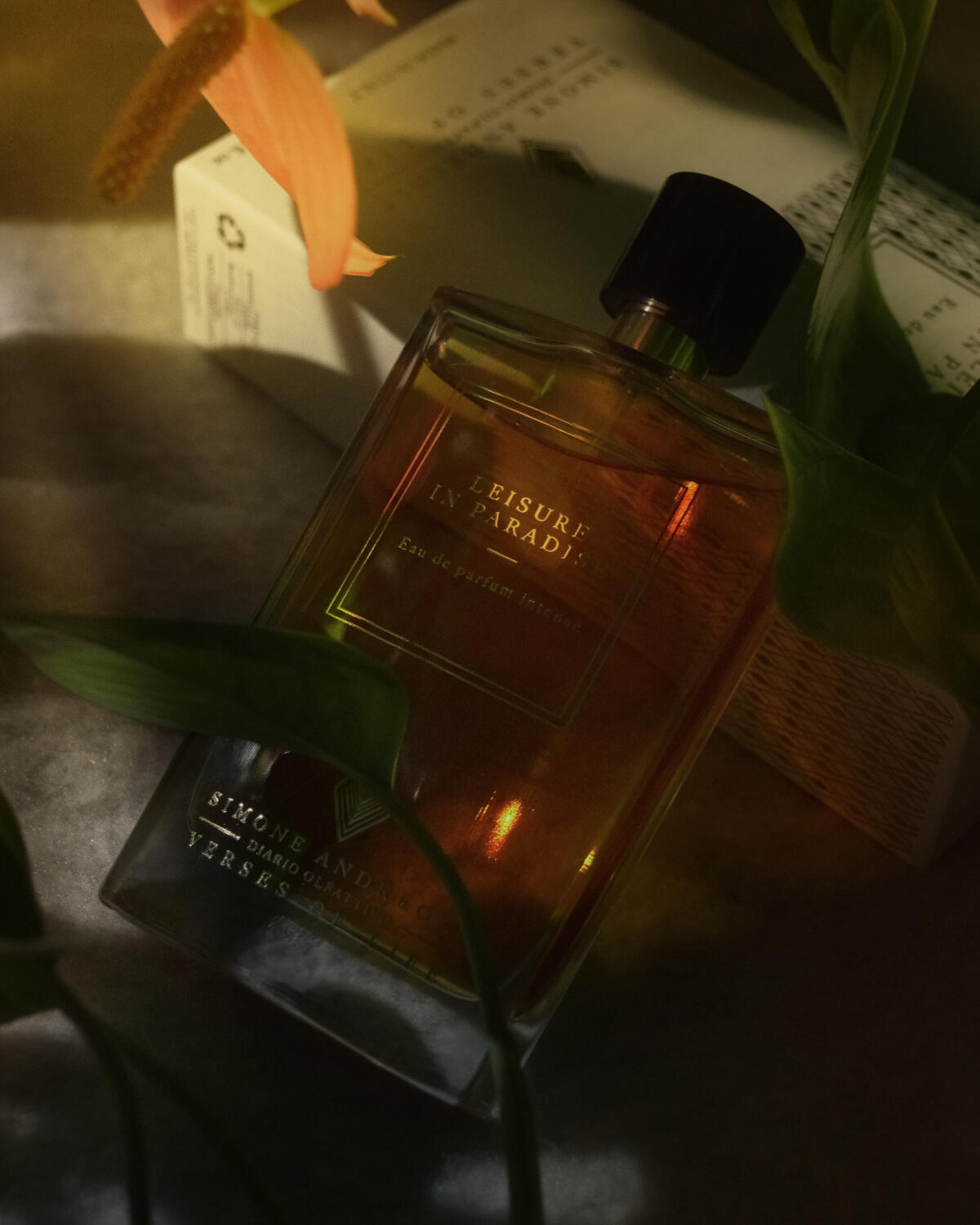 عطر ادکلن لیژر این پارادایس سیمون آندریولی - Leisure in Paradise Simone Andreoli - بررسی، قیمت و خرید