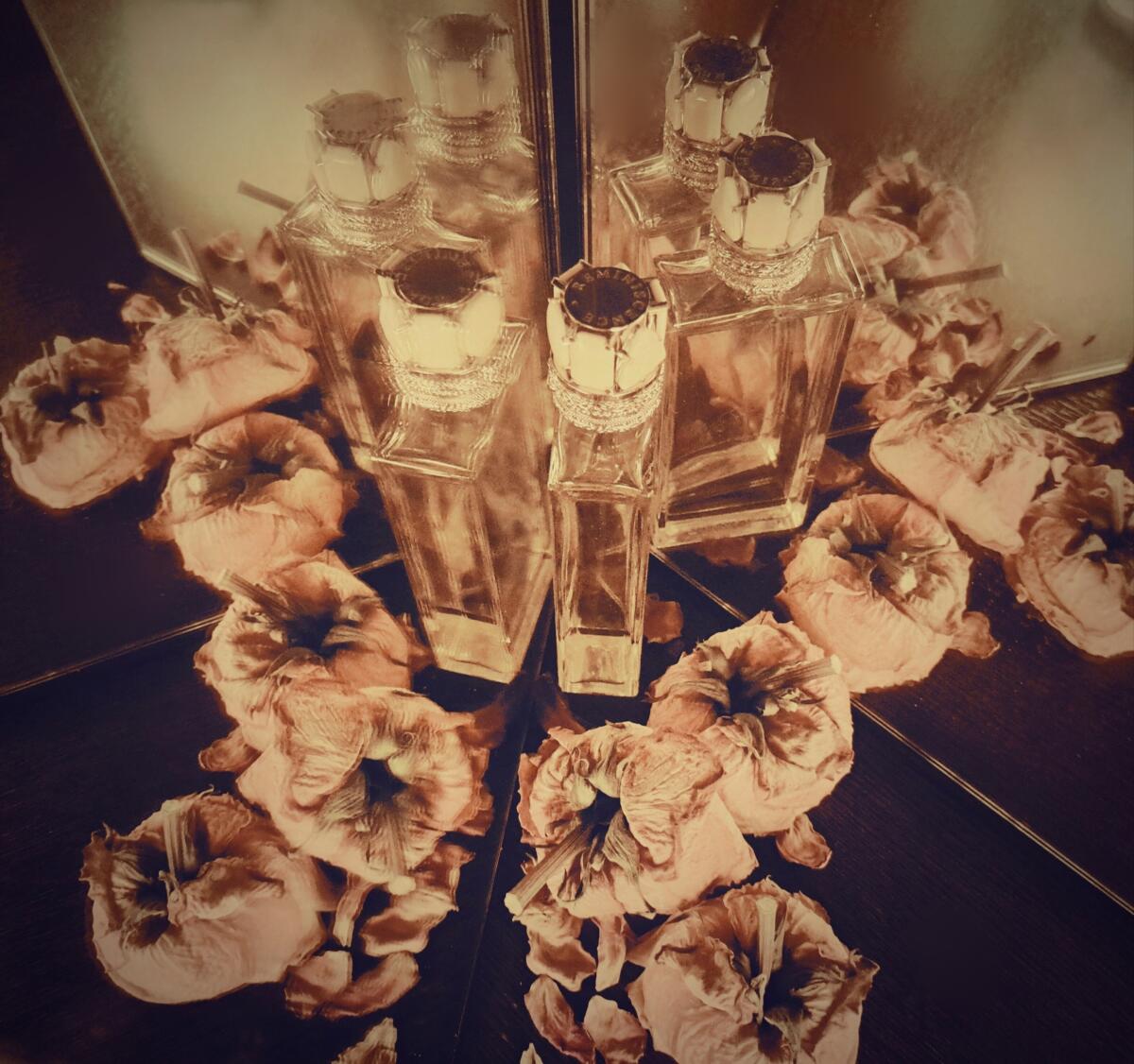 عطر ادکلن لاو رز او دو تویلت رمنیسانس - Love Rose Eau de Toilette Reminiscence - بررسی، قیمت و خرید