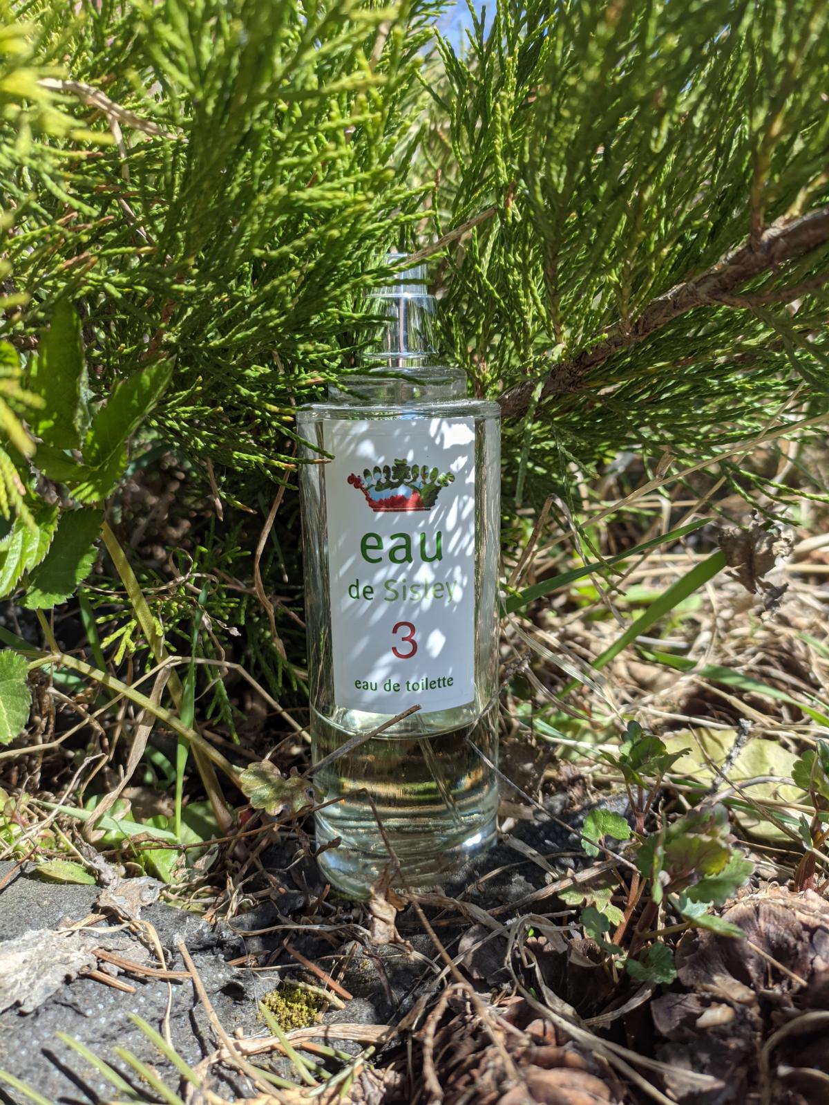 عطر ادکلن سیسلی او دو تری سیسلی - Sisley Eau de 3 Sisley - بررسی، قیمت و خرید