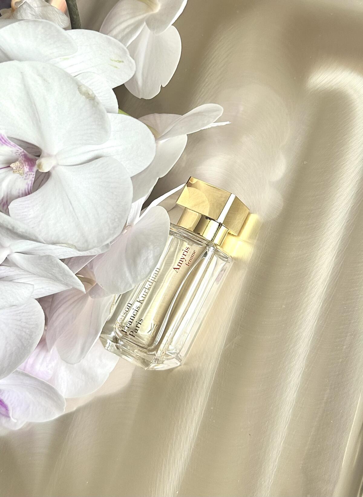 عطر ادکلن اِیمیریس فِم مِیزان فرانسیس کوردیجان - Amyris Femme Maison Francis Kurkdjian - بررسی، قیمت و خرید