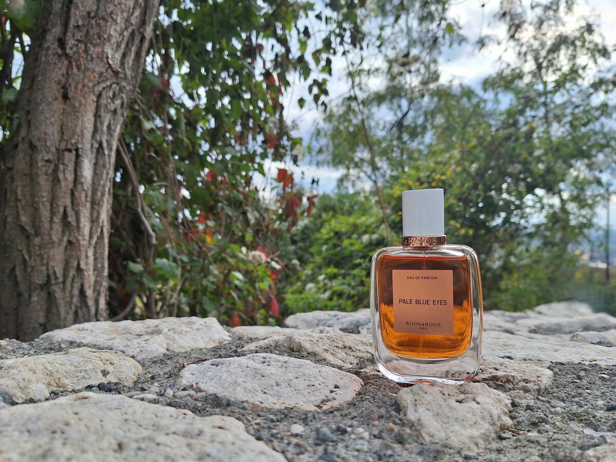 عطر ادکلن پیل بلو آیز روس اند روس - Pale Blue Eyes Roos & Roos - بررسی، قیمت و خرید