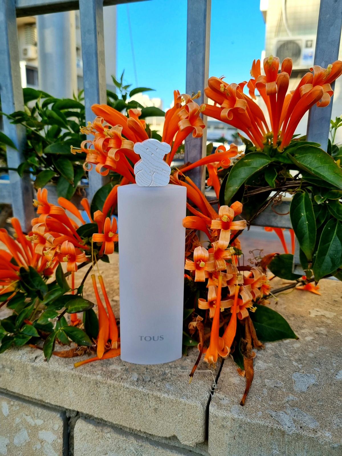 عطر ادکلن توس له کولون کانسانتره توس - TOUS Les Colognes Concentrées Tous - بررسی، قیمت و خرید
