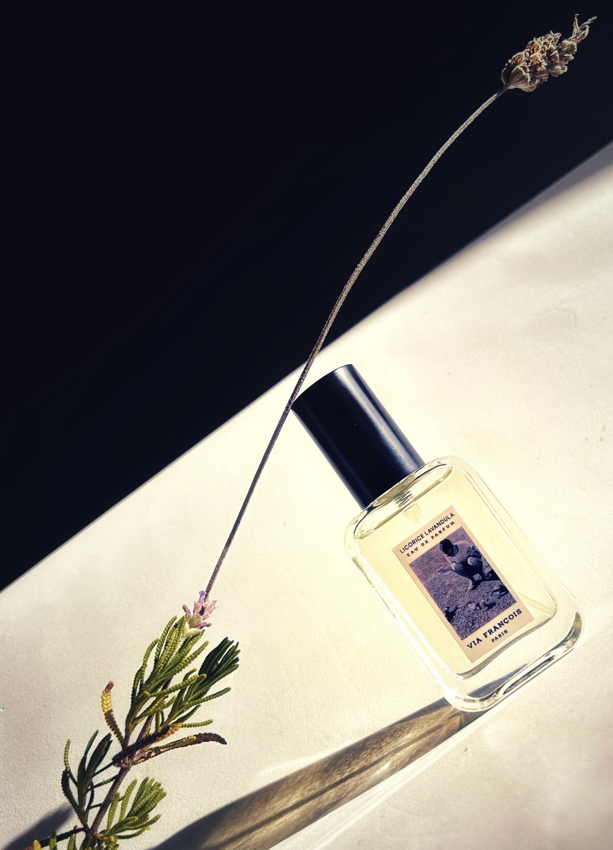 عطر ادکلن لیکوریس لاوندولا ویا فرانسوا - Licorice Lavandula Via François - بررسی، قیمت و خرید