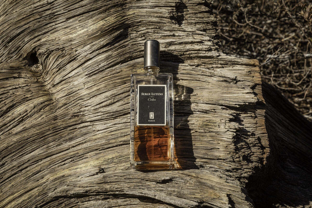 عطر ادکلن سدر سرج لوتنس - Cedre Serge Lutens - بررسی، قیمت و خرید