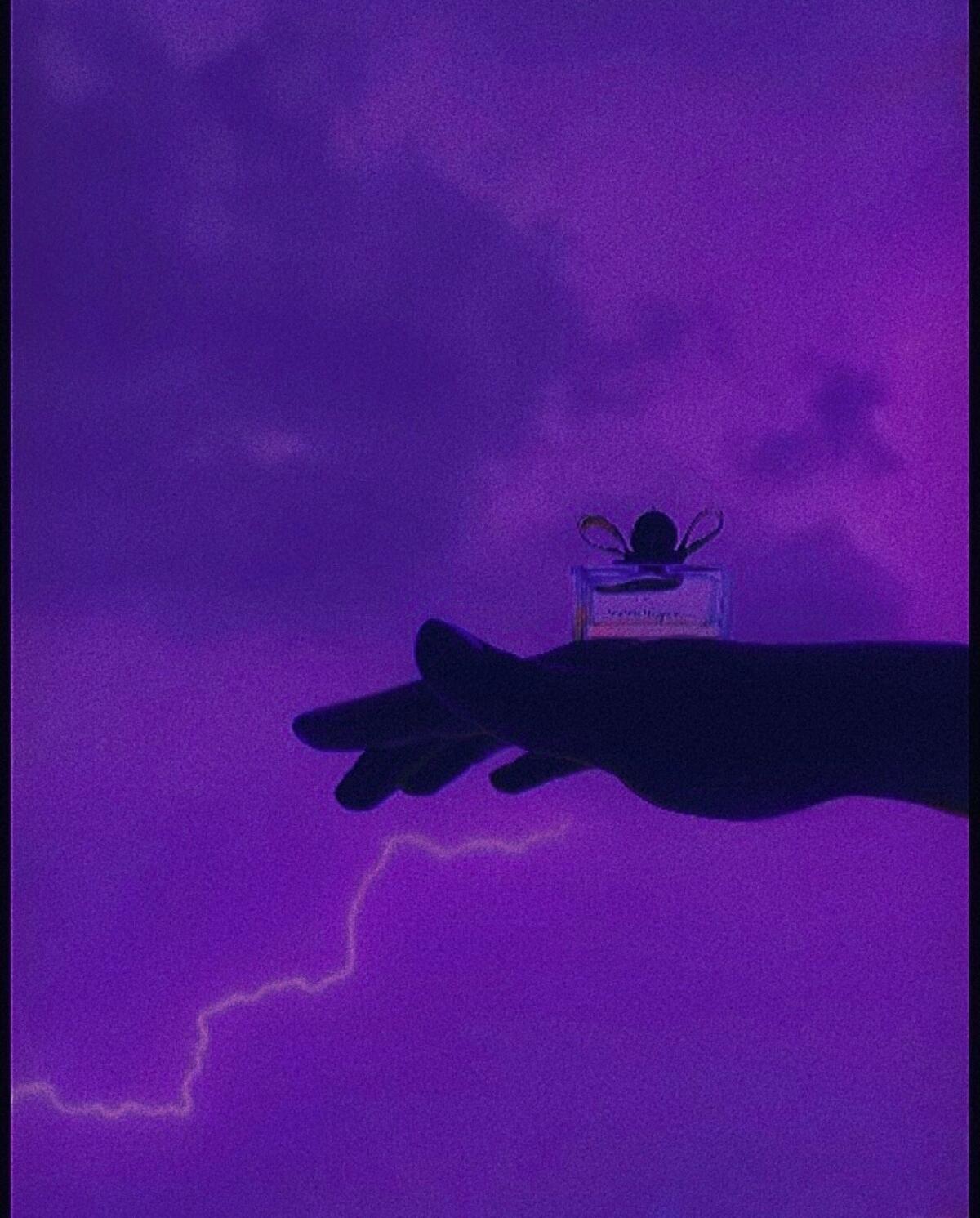 عطر ادکلن سینیورینا لیبِرا سالواتوره فراگامو - Signorina Libera Salvatore Ferragamo - بررسی، قیمت و خرید