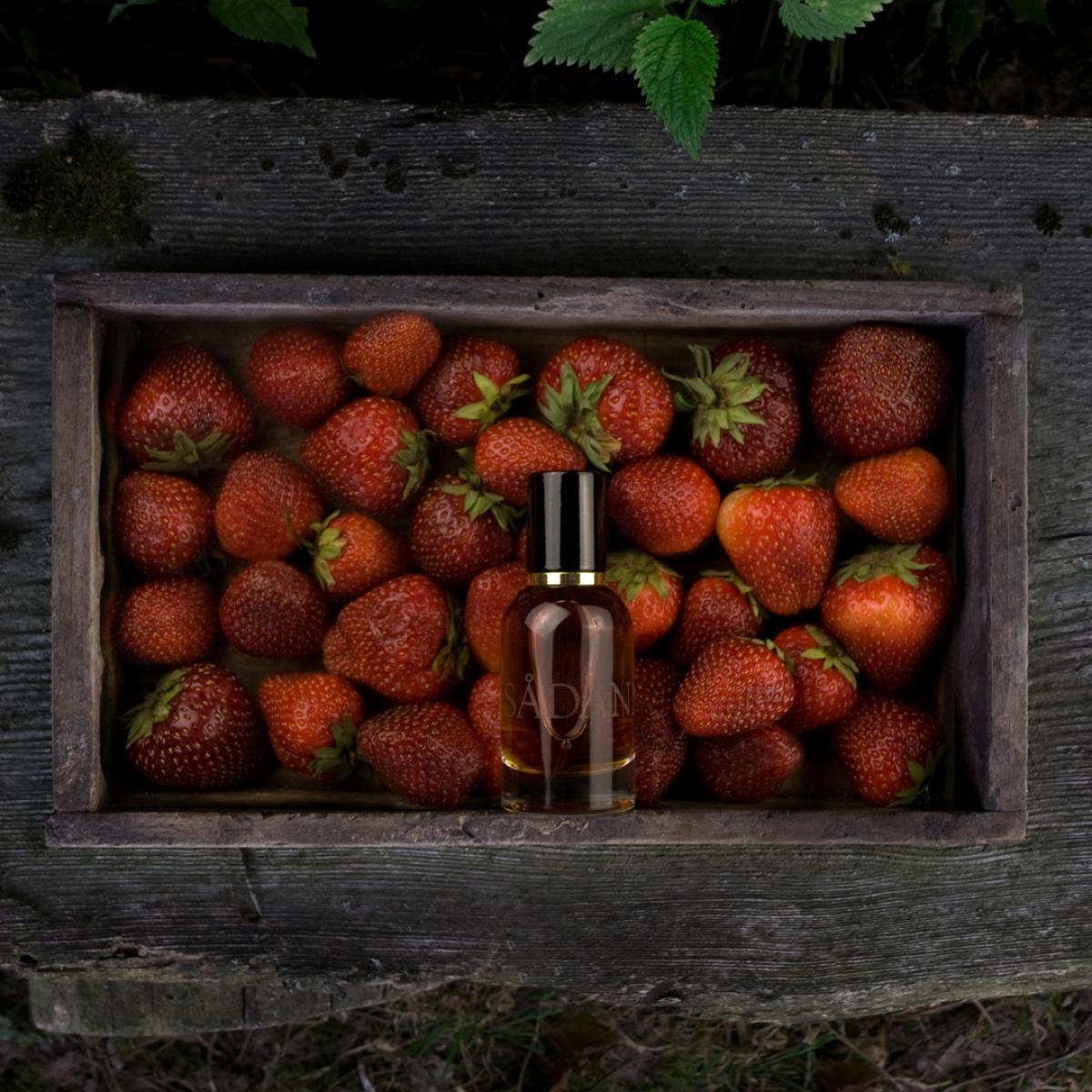 عطر ادکلن سدَن اسلمبرهاوس - Sadanne Slumberhouse - بررسی، قیمت و خرید