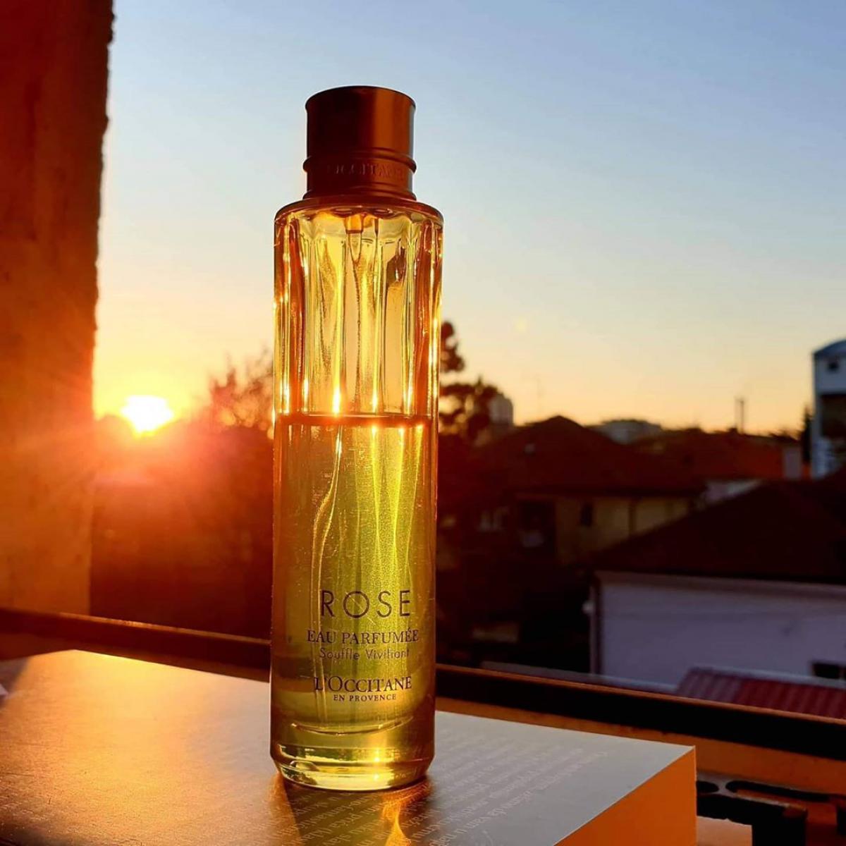 عطر ادکلن رز او پرفیوم سوفله ویویفیان لوکسیتان - Rose Eau Parfumee Souffle Vivifiant L'Occitane en Provence - بررسی، قیمت و خرید