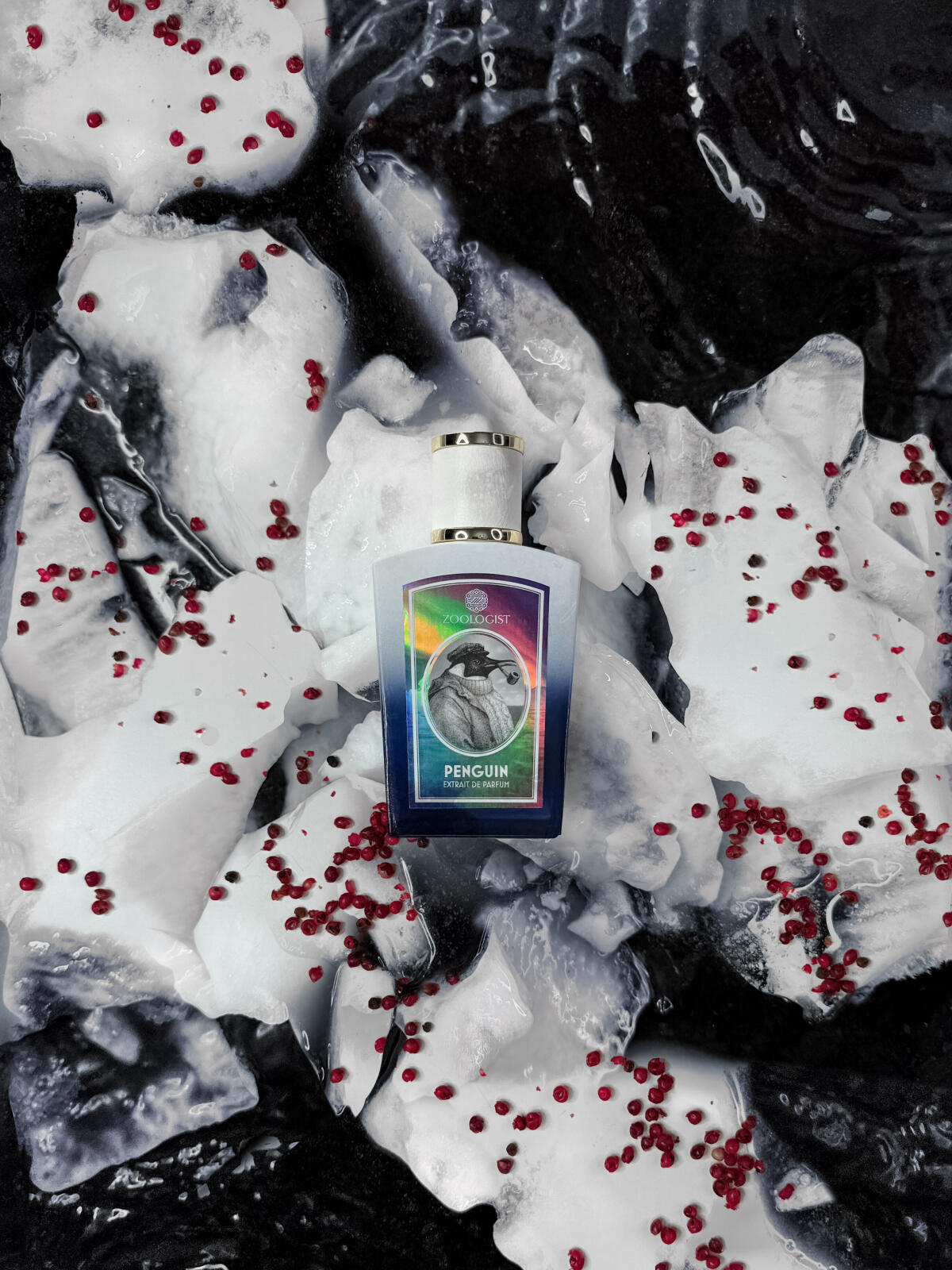 عطر ادکلن پنگوئن زئولوژیست پرفیومز - Penguin Zoologist Perfumes - بررسی، قیمت و خرید