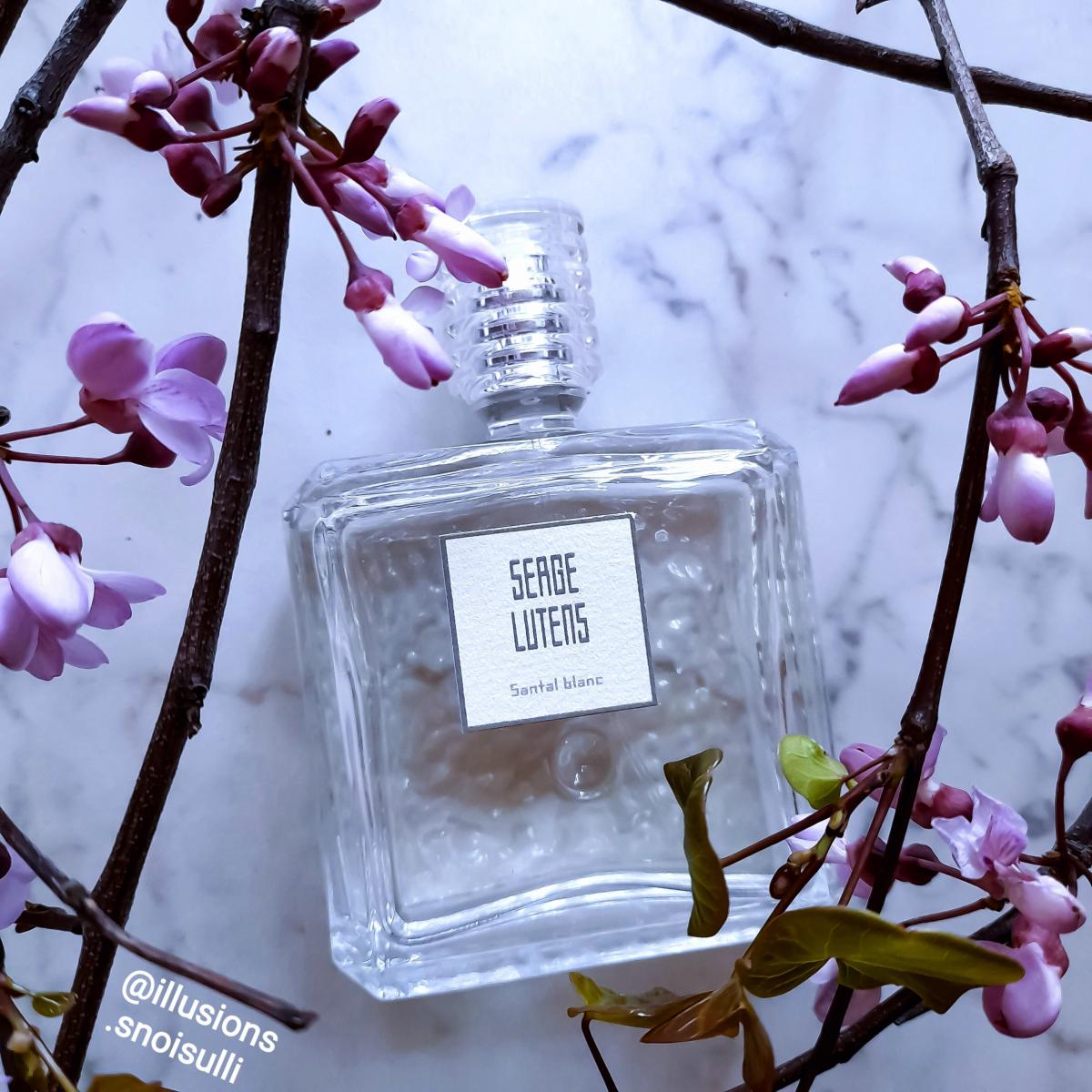 عطر ادکلن سانتال بلنک سرژ لوتن - Santal Blanc Serge Lutens - بررسی، قیمت و خرید