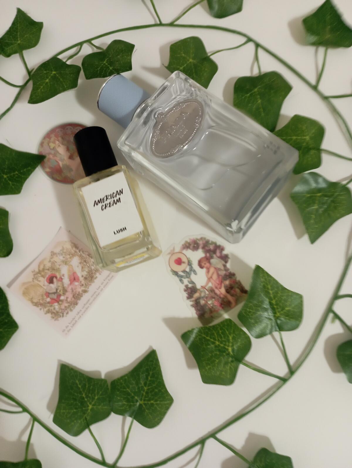 عطر ادکلن آمریکن کریم لاش - American Cream Lush - بررسی، قیمت و خرید