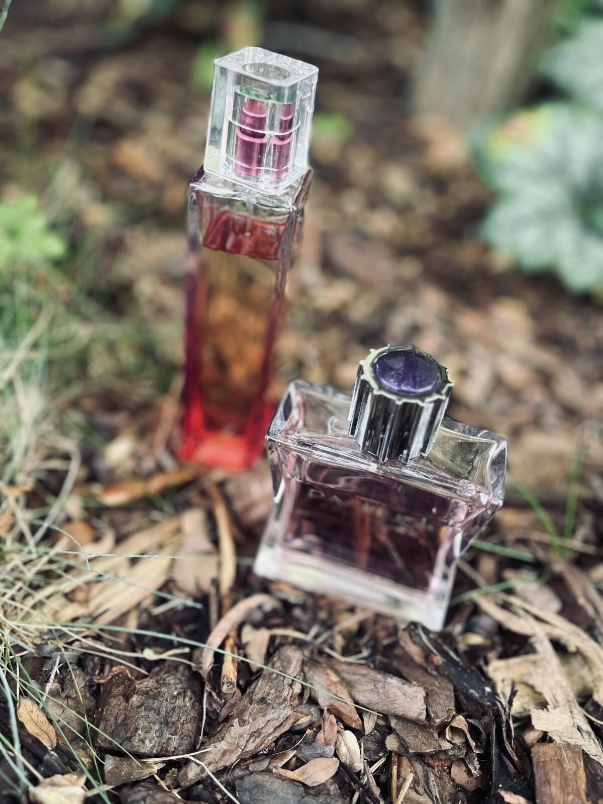 عطر ادکلن دارج پور فم رساسی - Daarej pour Femme Rasasi - بررسی، قیمت و خرید