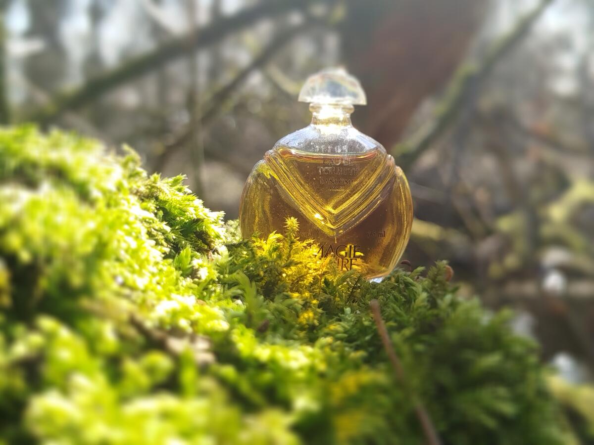 عطر ادکلن ماژی نوار لانکوم - Magie Noire Lancôme - بررسی، قیمت و خرید