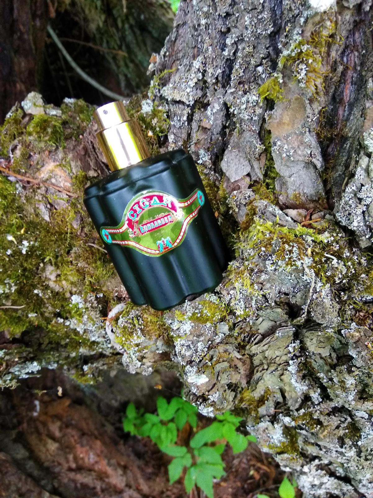 عطر ادکلن سیگار کامندر رمی لاتور - Cigar Commander Rémy Latour - بررسی، قیمت و خرید