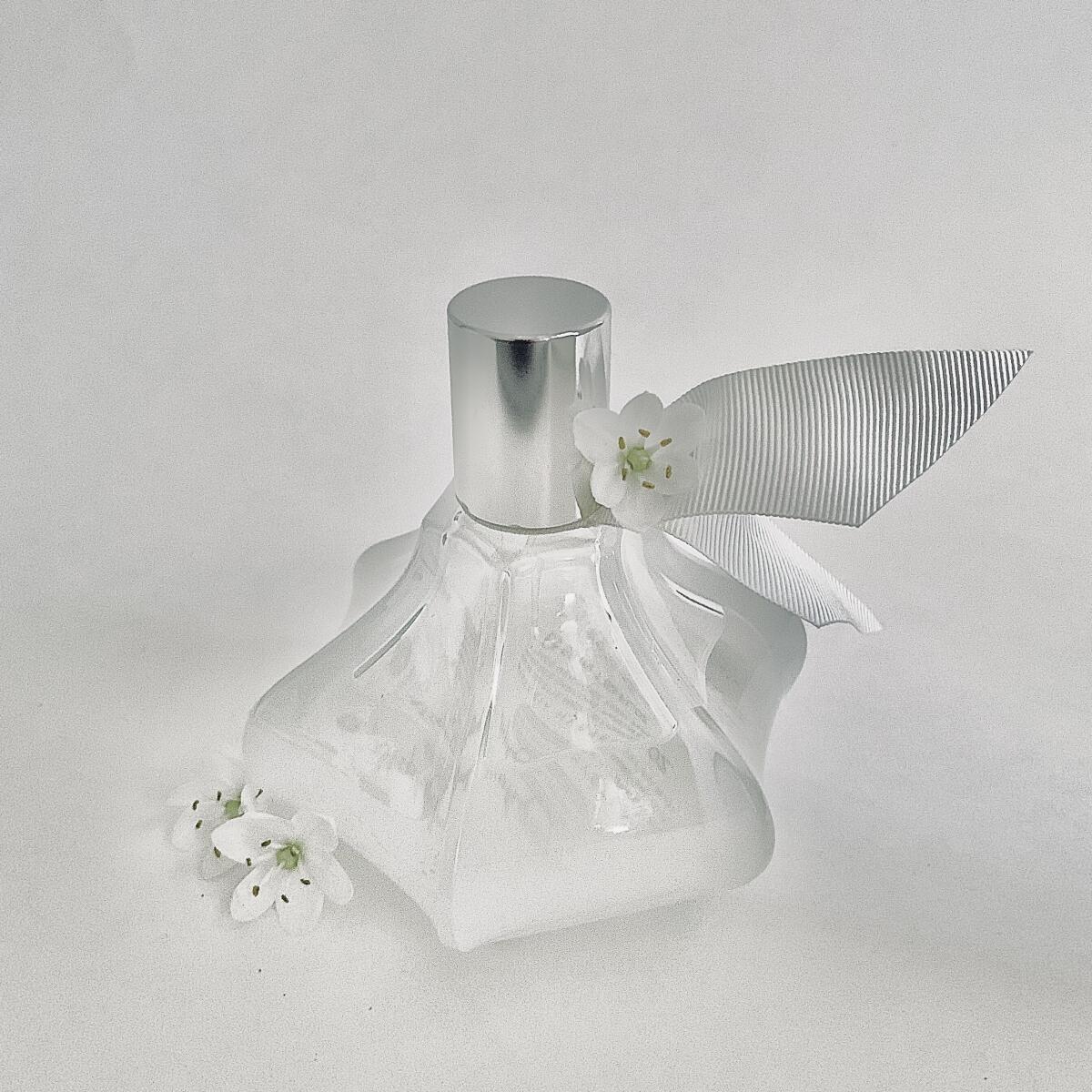 عطر ادکلن ویستریا هیستریا استیون جونز - Wisteria Hysteria Stephen Jones - بررسی، قیمت و خرید