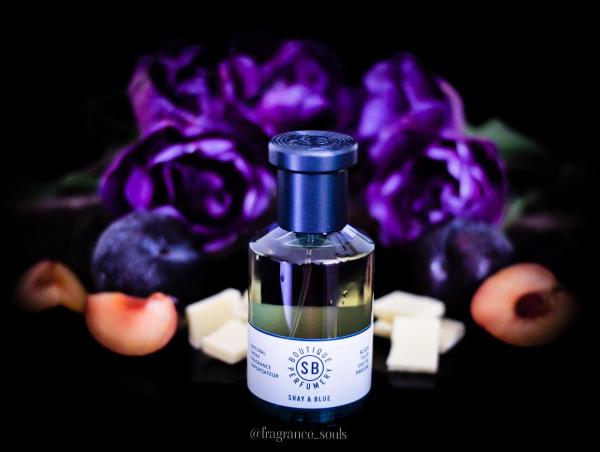 عطر ادکلن بلک تیولِپ شِی اَند بلو لاندِن - Black Tulip Shay & Blue London - بررسی، قیمت و خرید