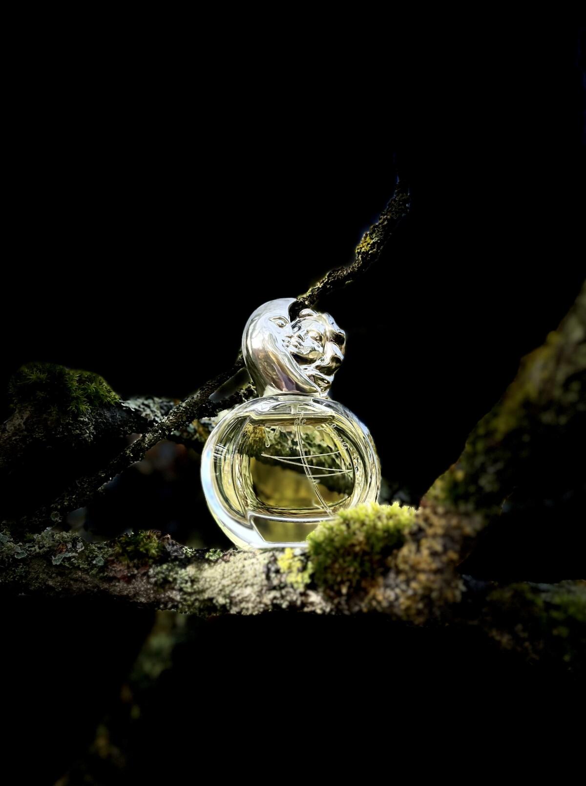 عطر ادکلن سغور د لون سیسلی - Soir de Lune Sisley - بررسی، قیمت و خرید