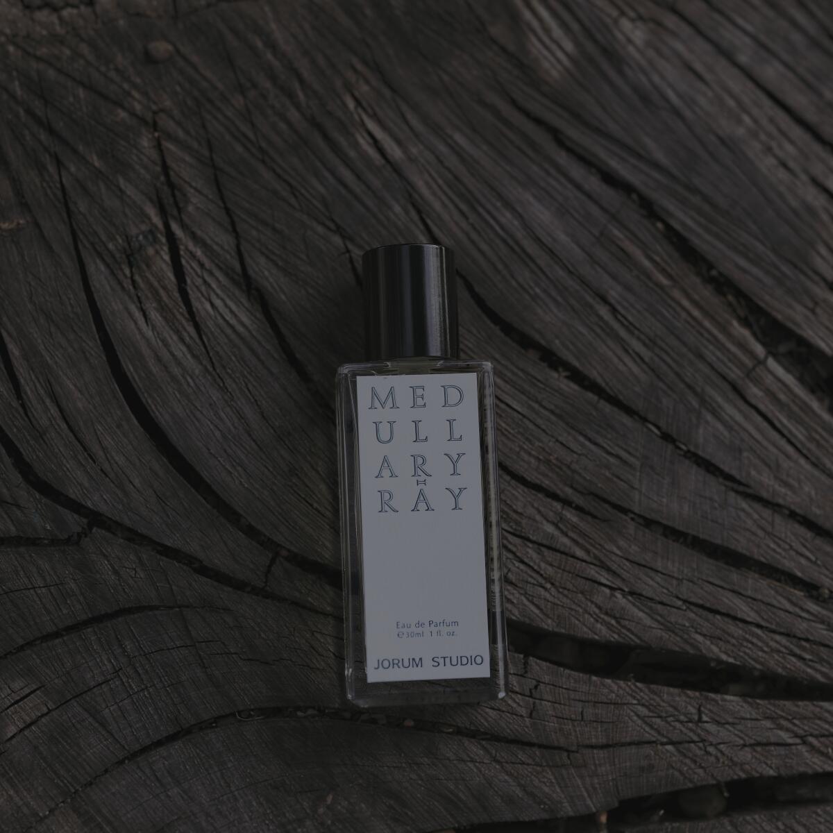 عطر ادکلن مدولاری-ری جوروم استودیو - Medullary-ray Jorum Studio - بررسی، قیمت و خرید