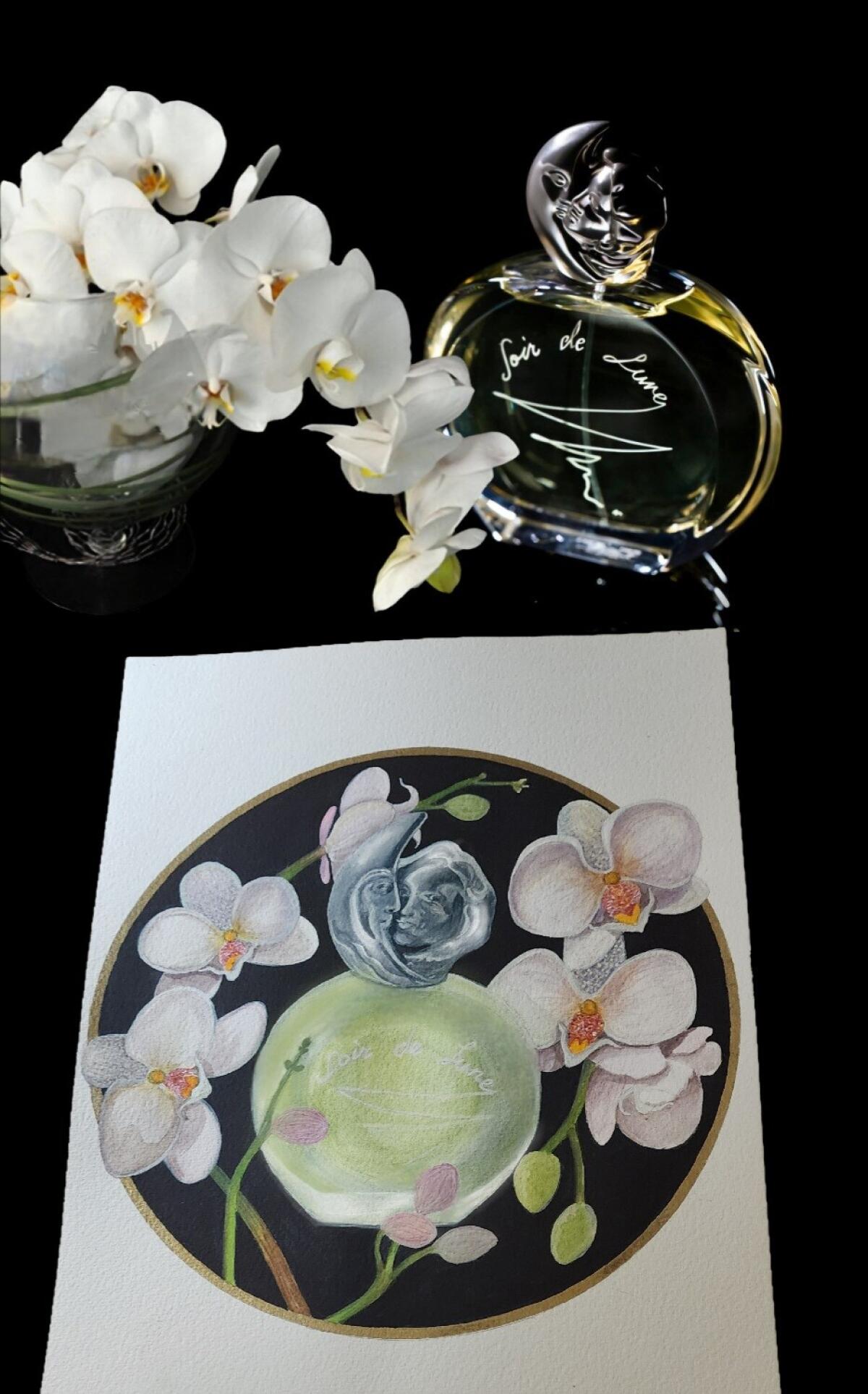 عطر ادکلن سغور د لون سیسلی - Soir de Lune Sisley - بررسی، قیمت و خرید