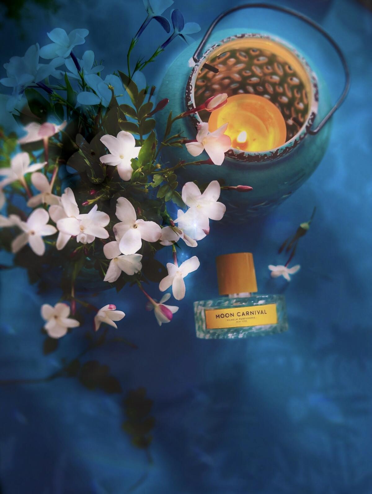 عطر ادکلن مون کارنیوال ویلهم پرفیومری - Moon Carnival Vilhelm Parfumerie - بررسی، قیمت و خرید