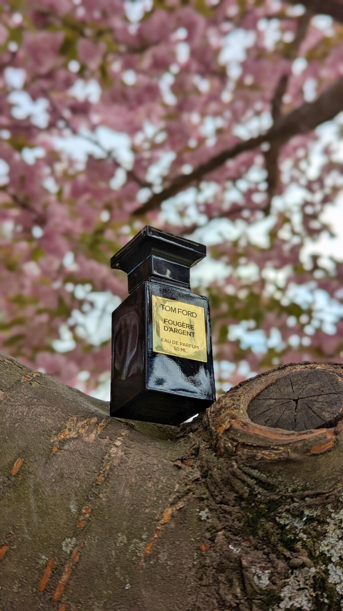عطر ادکلن فوزی د آرژانت تام فورد - Fougère d’Argent Tom Ford - بررسی، قیمت و خرید