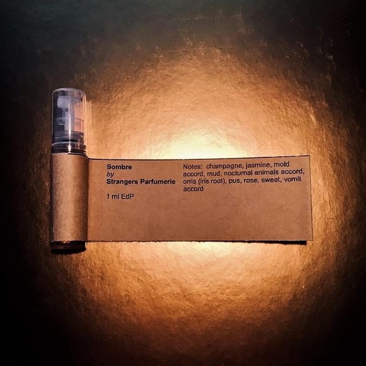 عطر ادکلن سامبر استرنجرز پرفیومری - Sombre Strangers Parfumerie - بررسی، قیمت و خرید