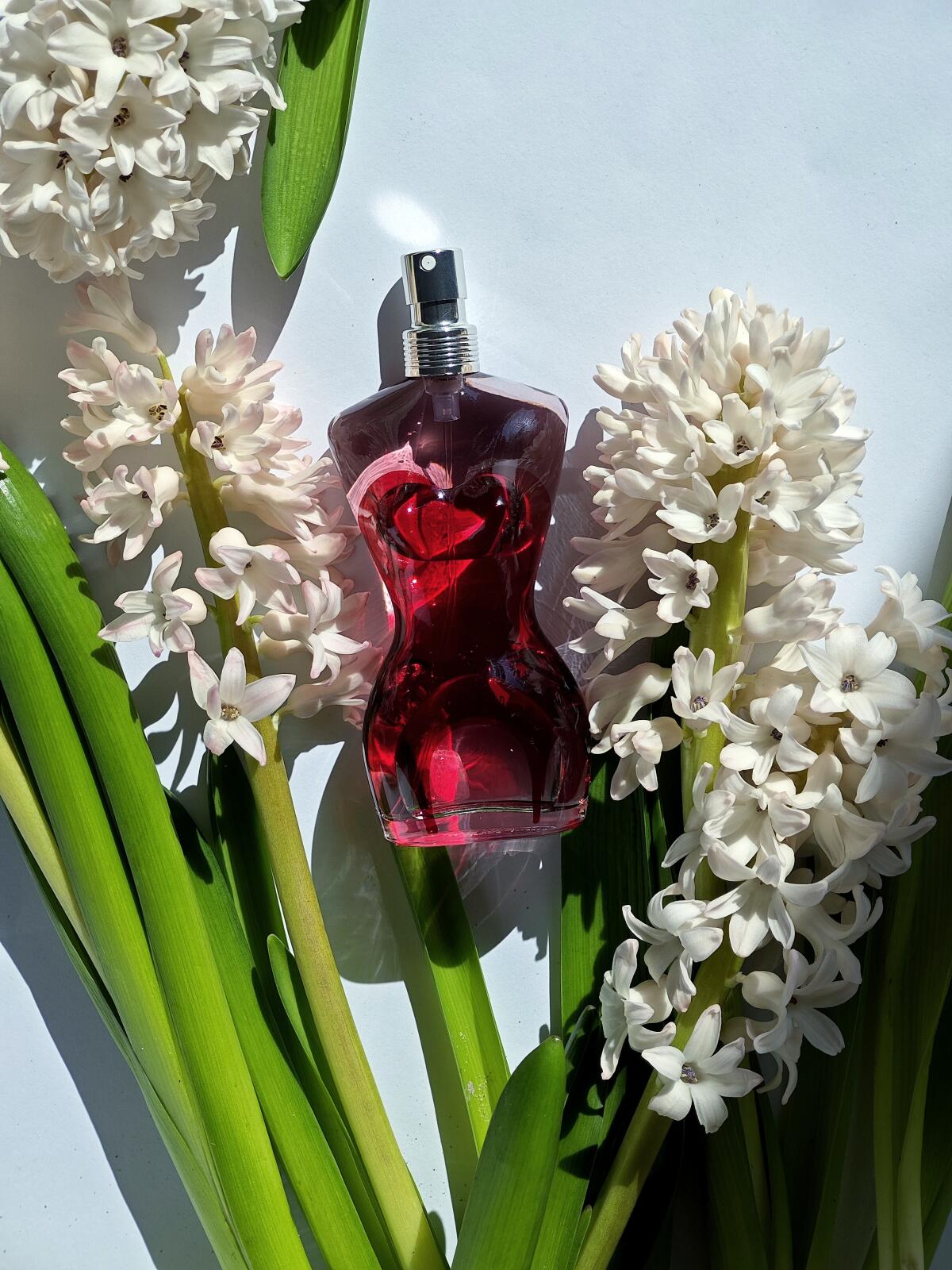 عطر ادکلن کلاسیک او د پرفیوم کالکتور دوهزار و هفده ژان پل گوتیه - Classique Eau de Parfum Collector 2017 Jean Paul Gaultier - بررسی، قیمت و خرید