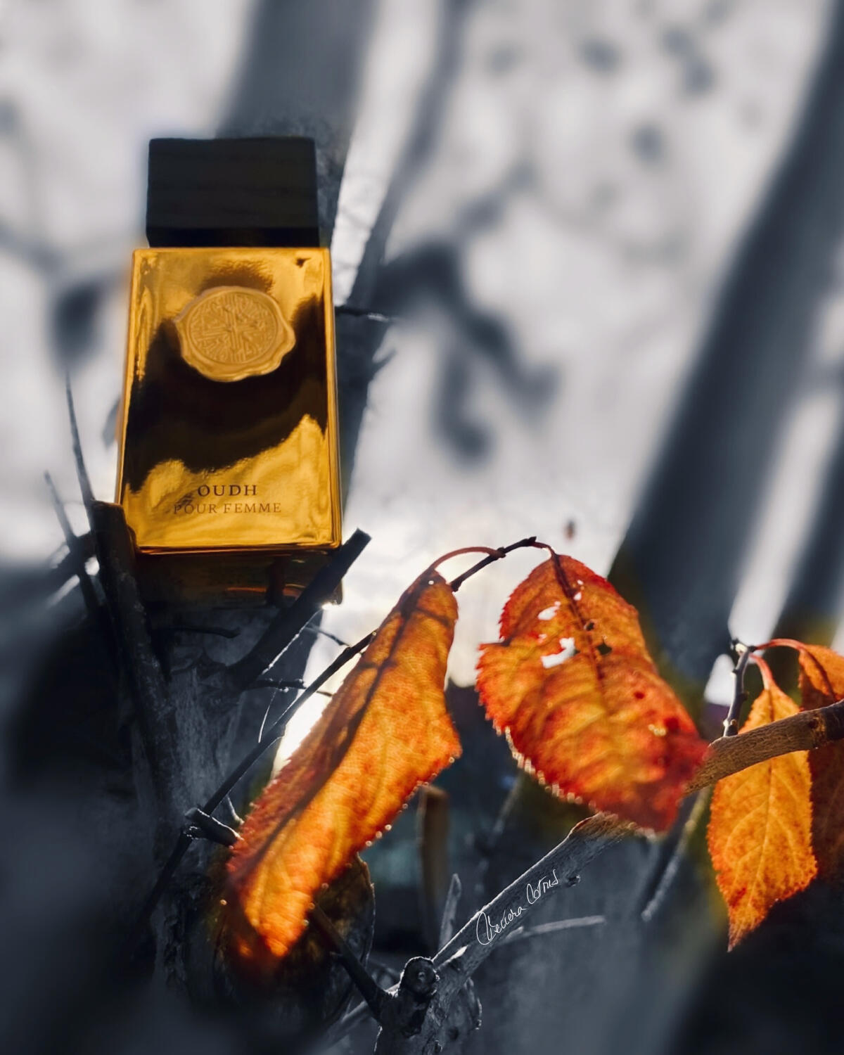 عطر ادکلن عود پور فم ریتوالز - Oudh Pour Femme Rituals - بررسی، قیمت و خرید