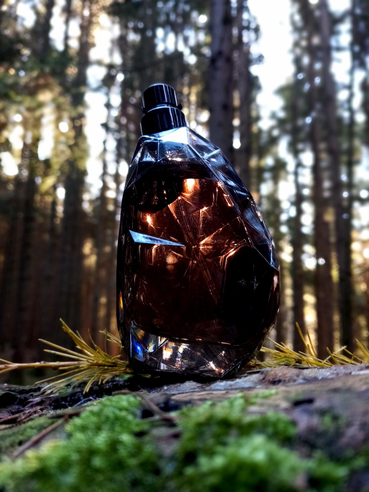عطر ادکلن اِستون فور هیم ریپلی - Stone For Him Replay - بررسی، قیمت و خرید