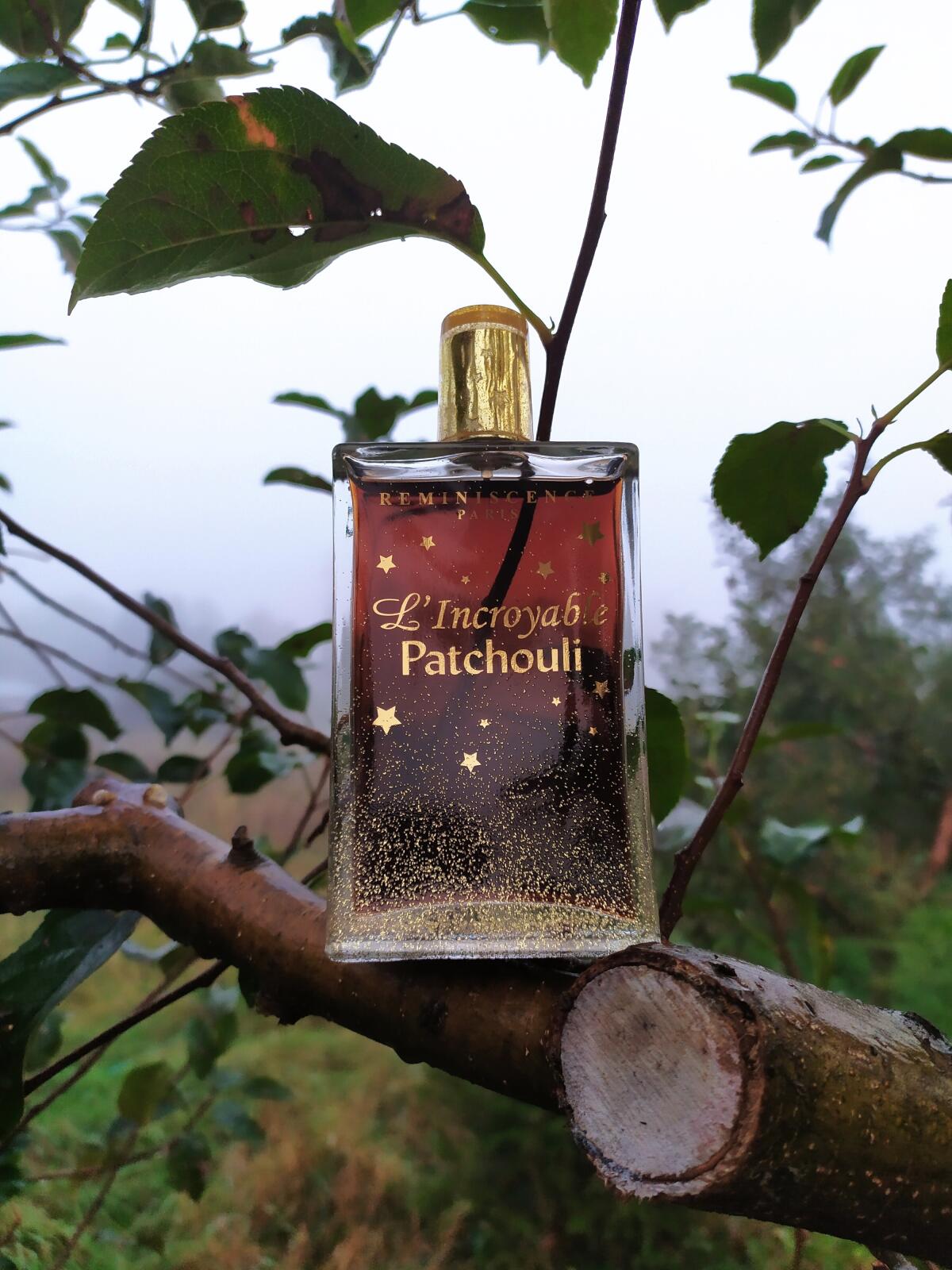 عطر ادکلن لینکرایبل پاچولی رمنیسنس - L'Incroyable Patchouli Reminiscence - بررسی، قیمت و خرید