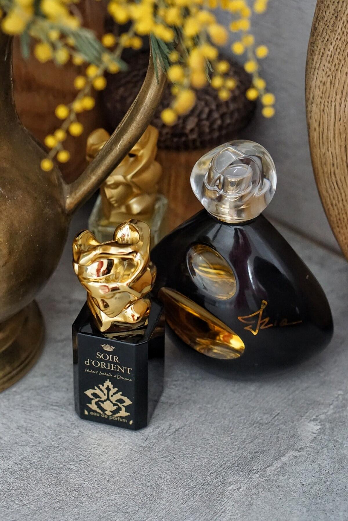 عطر ادکلن ایزیا لا نویی سیسلی - Izia La Nuit Sisley - بررسی، قیمت و خرید