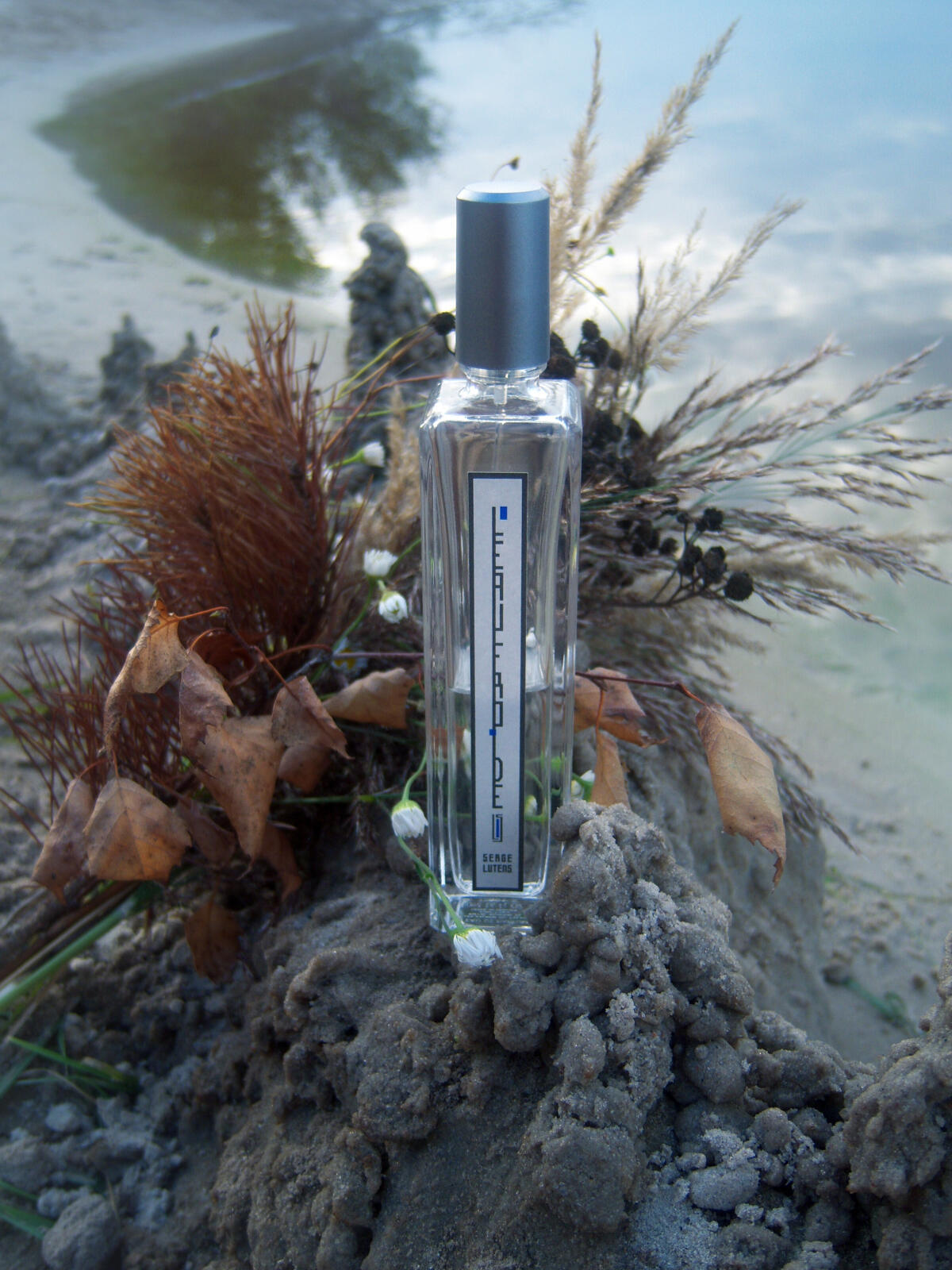 عطر ادکلن لو فغوید سرج لوتانس - L'Eau Froide Serge Lutens - بررسی، قیمت و خرید